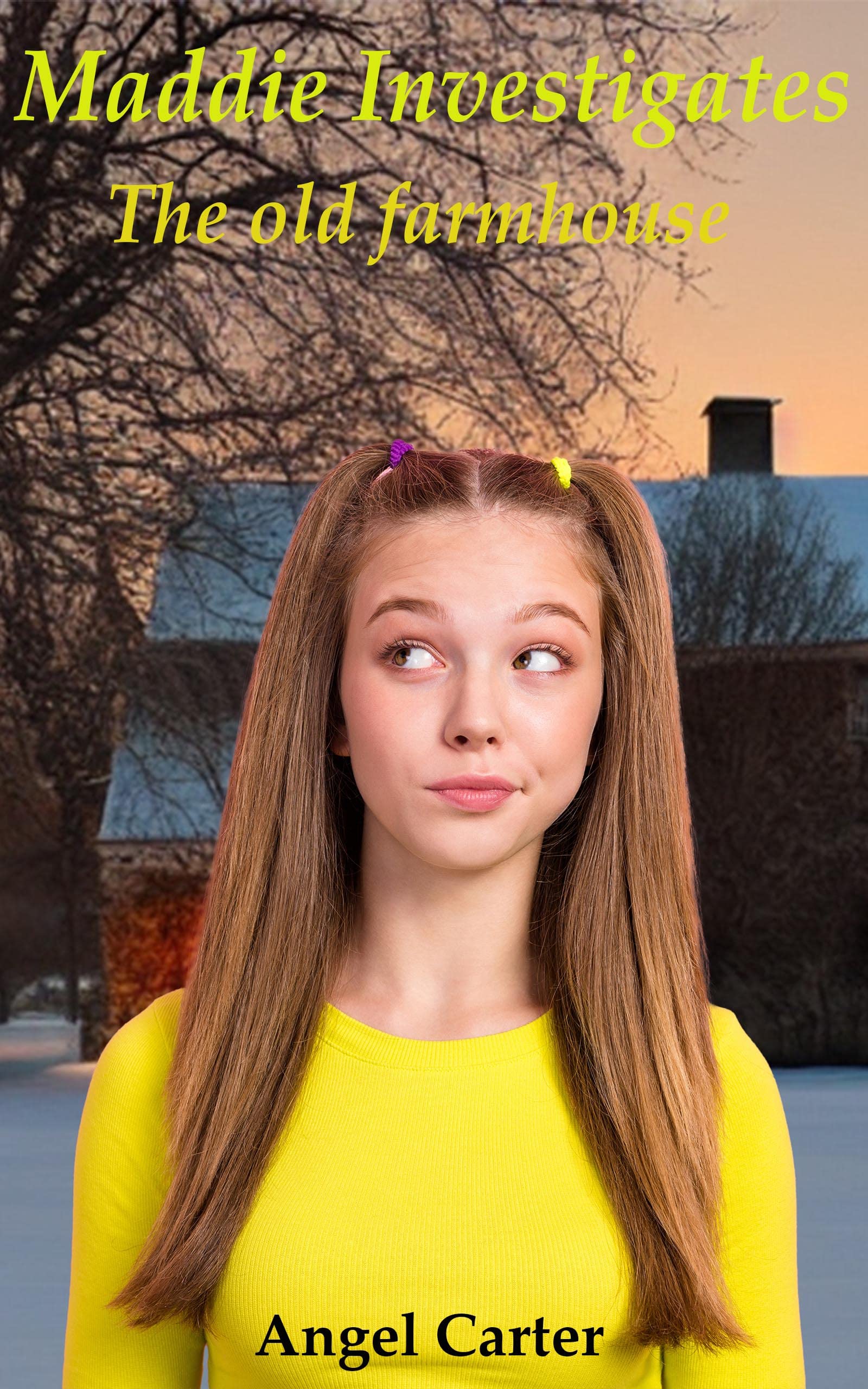 Maddie-Investigates--The-old-farmhouse-by-Angel-Carter-PDF-EPUB.jpg