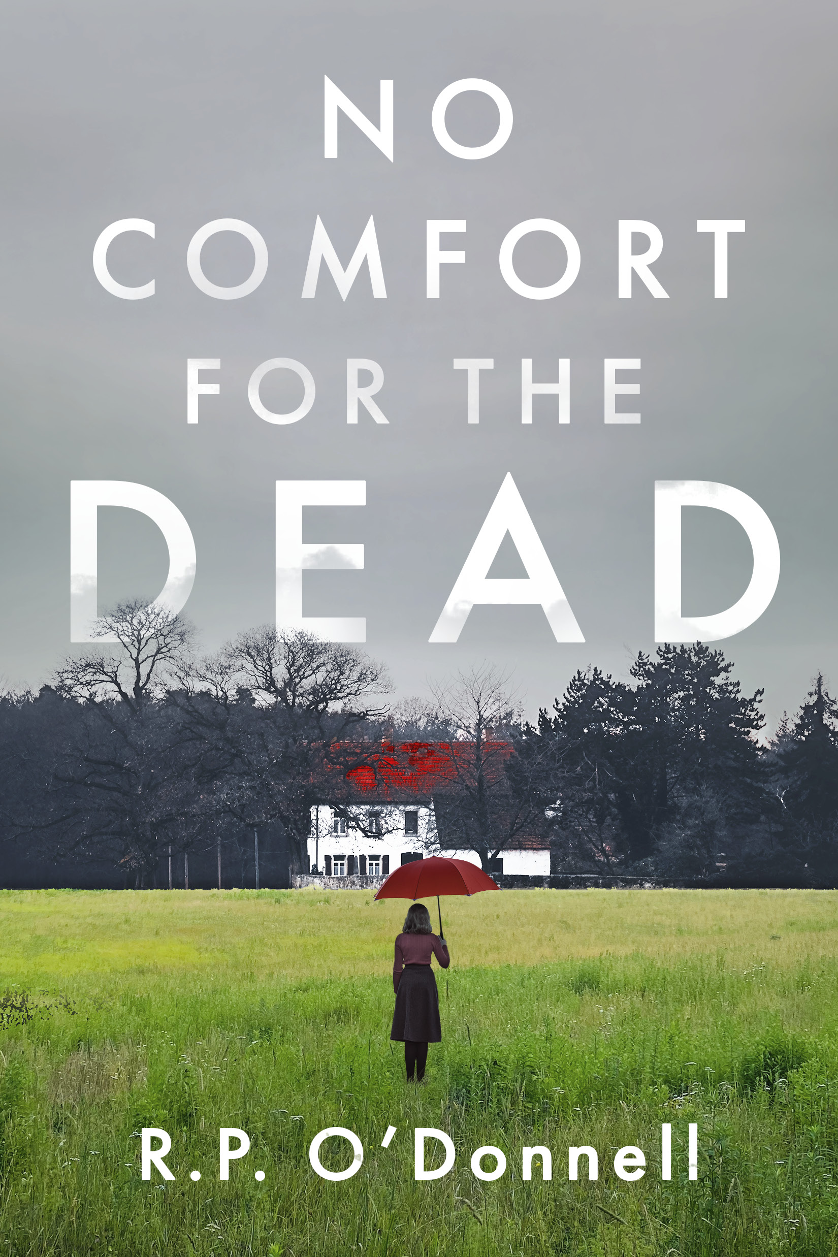 No-Comfort-for-the-Dead-by-RP-O'Donnell-PDF-EPUB.jpg