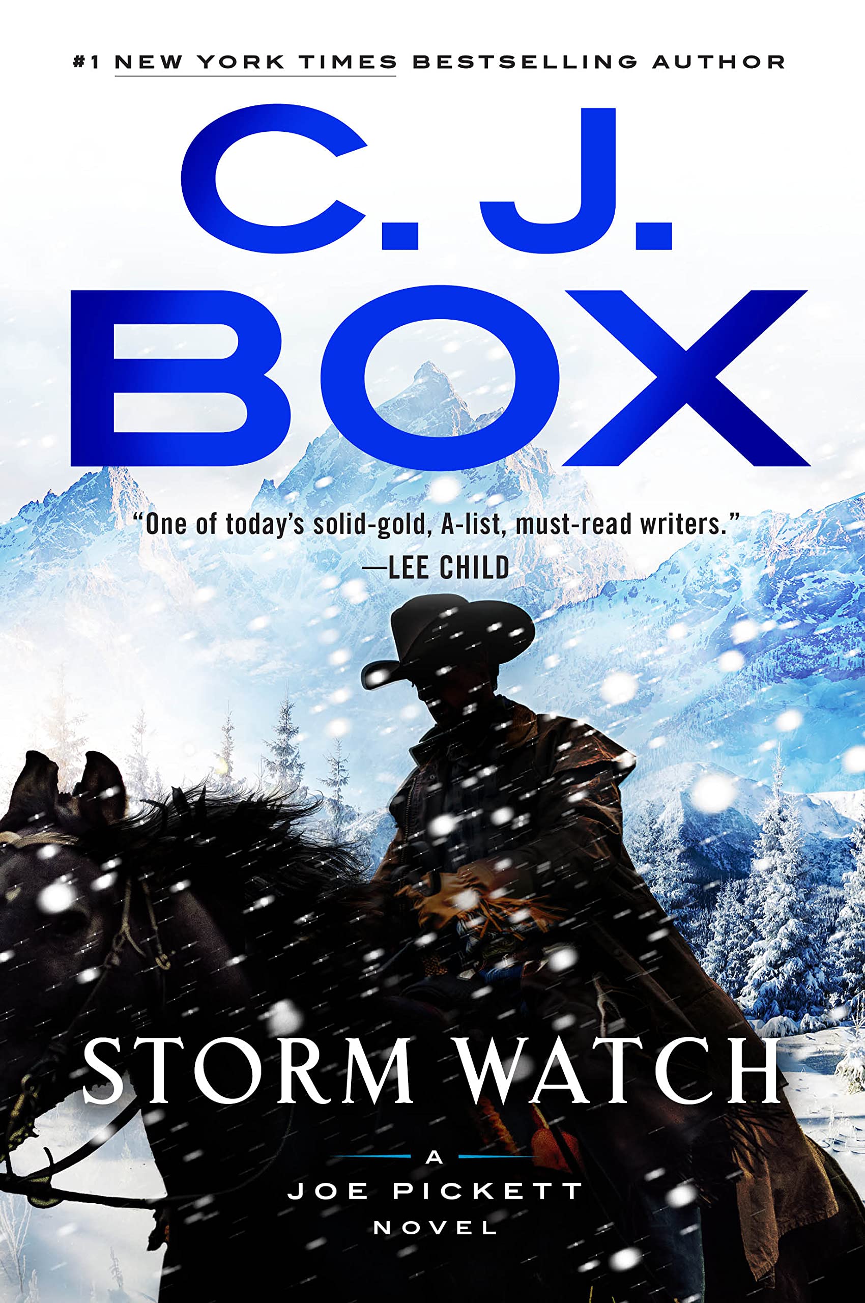 Storm-Watch-by-CJ-Box-PDF-EPUB.jpg