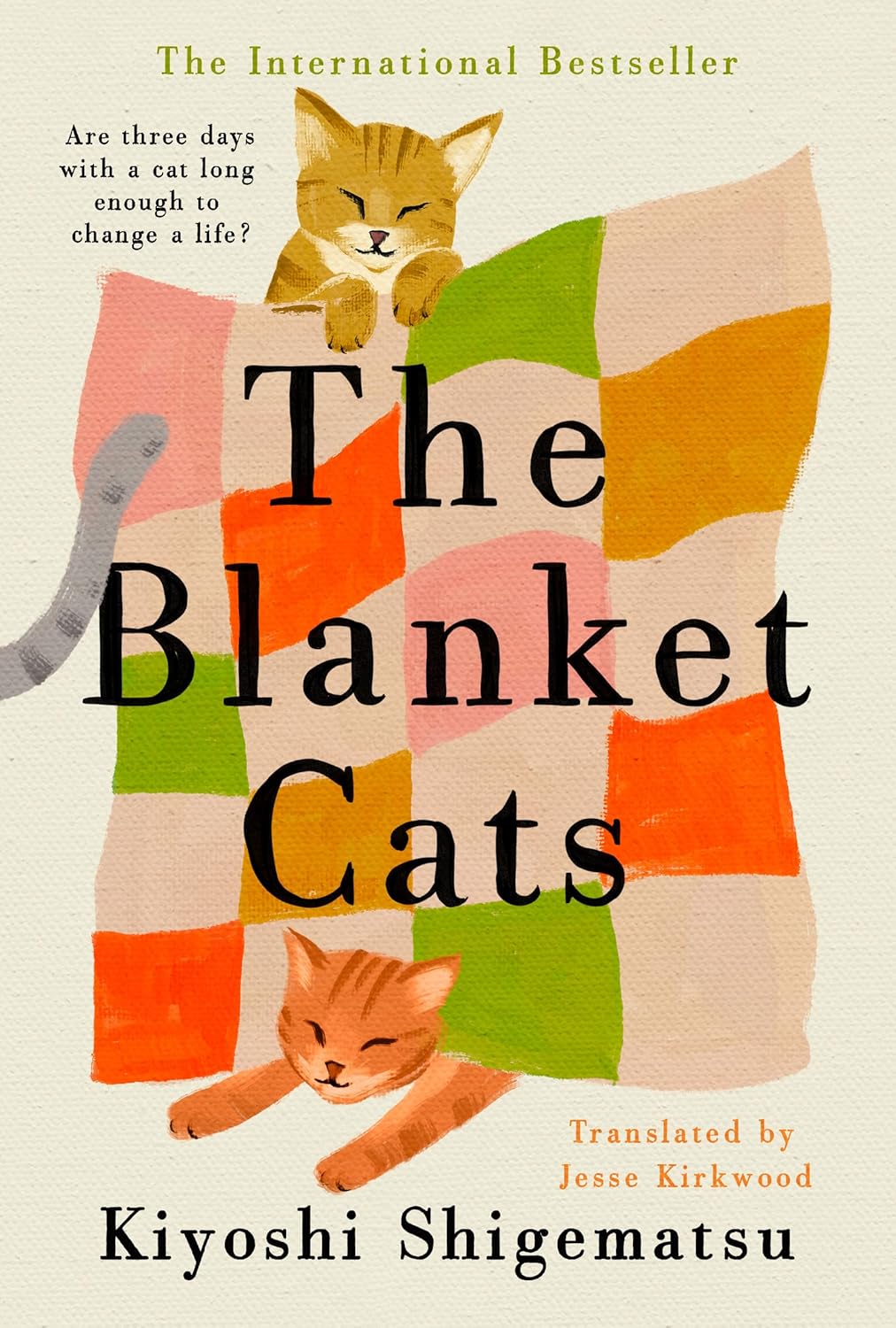 The-Blanket-Cats-by-Kiyoshi-Shigematsu-PDF-EPUB.jpg