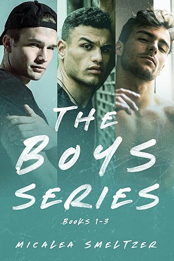 The-Boys-Series-Omnibus-by-Micalea-Smeltzer-PDF-EPUB.jpg