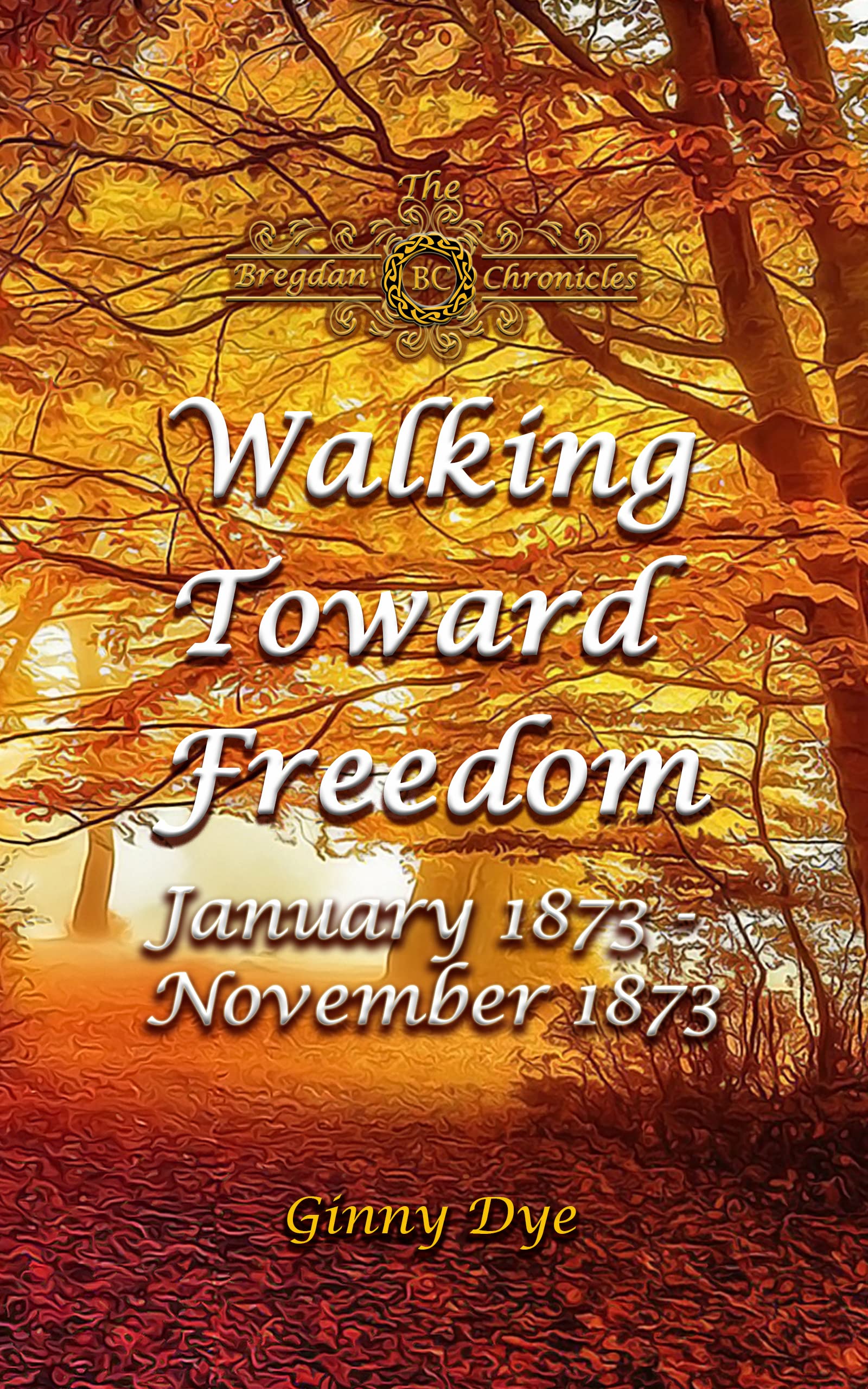 Walking-Toward-Freedom-by-Ginny-Dye-PDF-EPUB.jpg