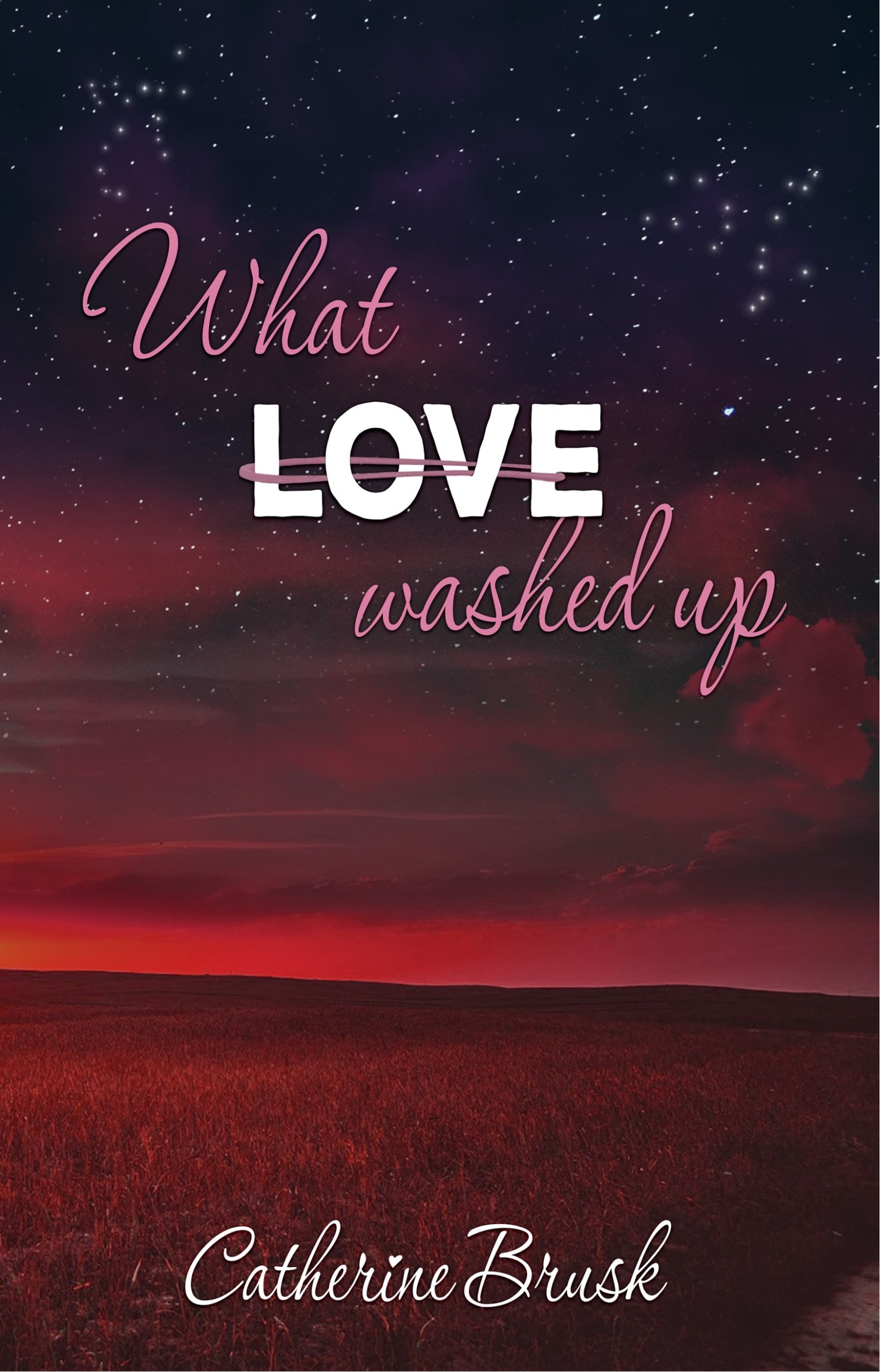 What-Love-Washed-Up-by-Catherine-Brusk-PDF-EPUB.jpg