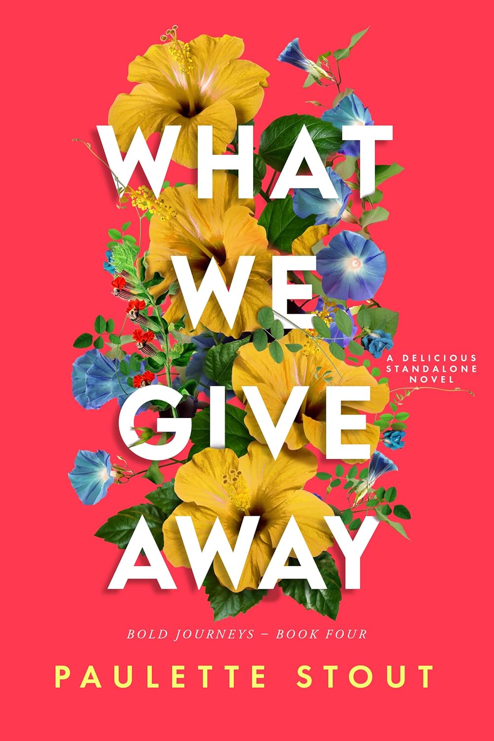 What-We-Give-Away-by-Paulette-Stout-PDF-EPUB.jpg