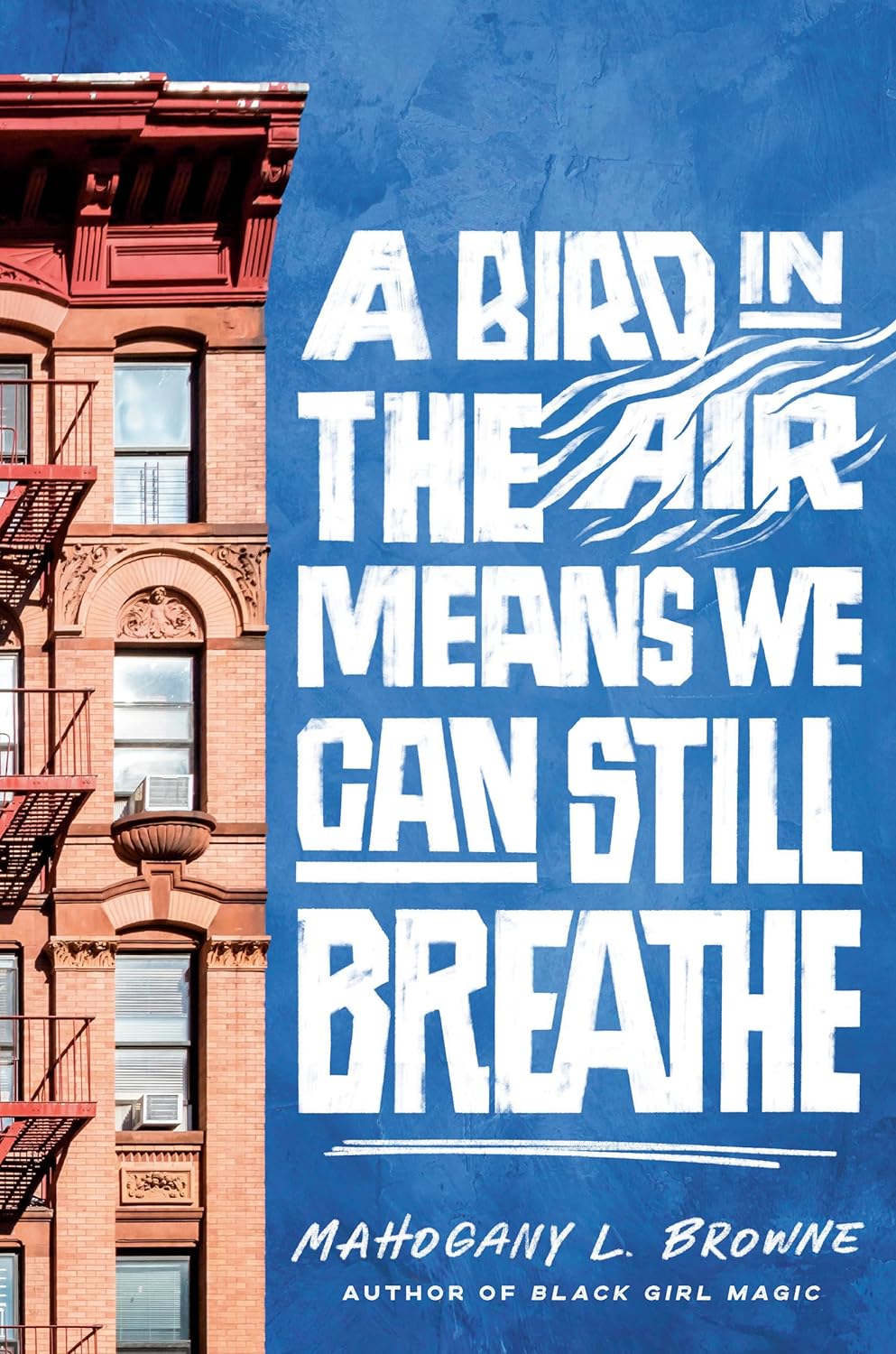 A-Bird-in-the-Air-Means-We-Can-Still-Breathe-by-Mahogany-L-Browne-PDF-EPUB.jpg