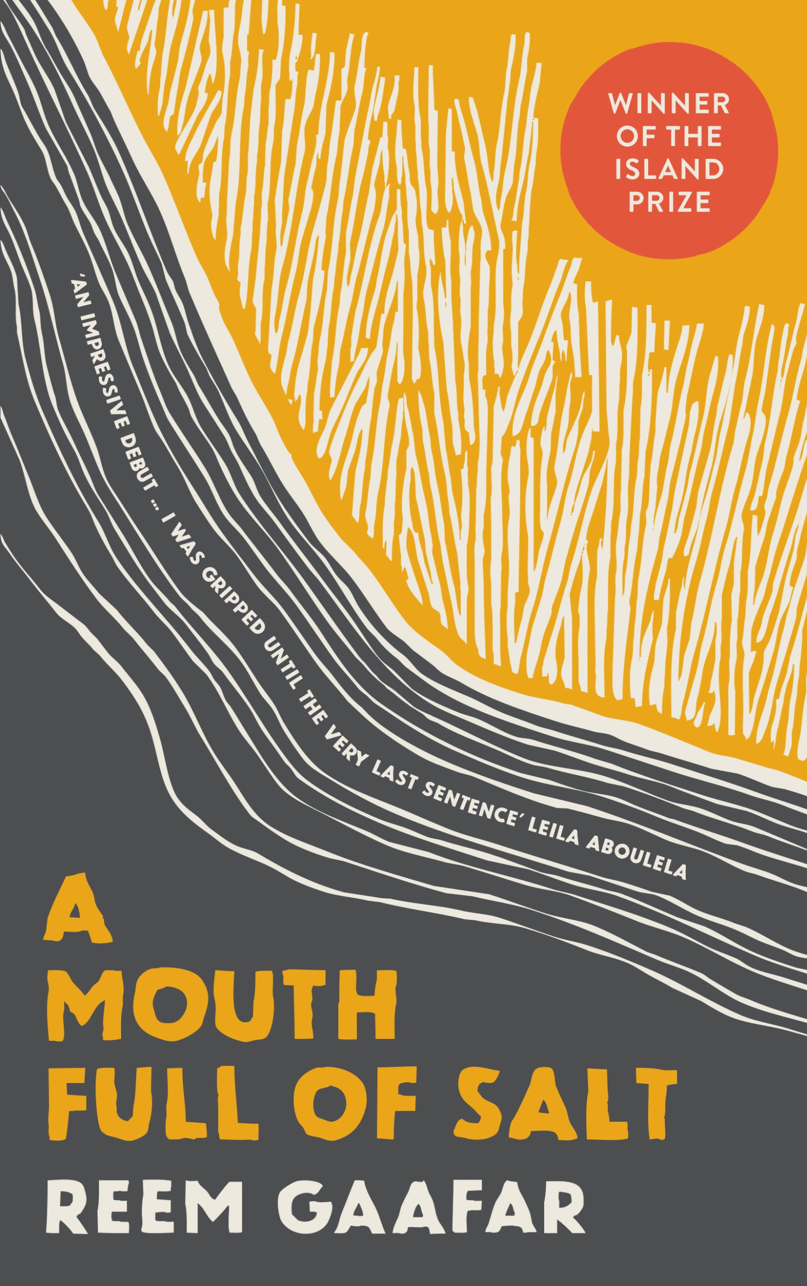 A-Mouth-Full-of-Salt-by-Reem-Gaafar-PDF-EPUB.jpg