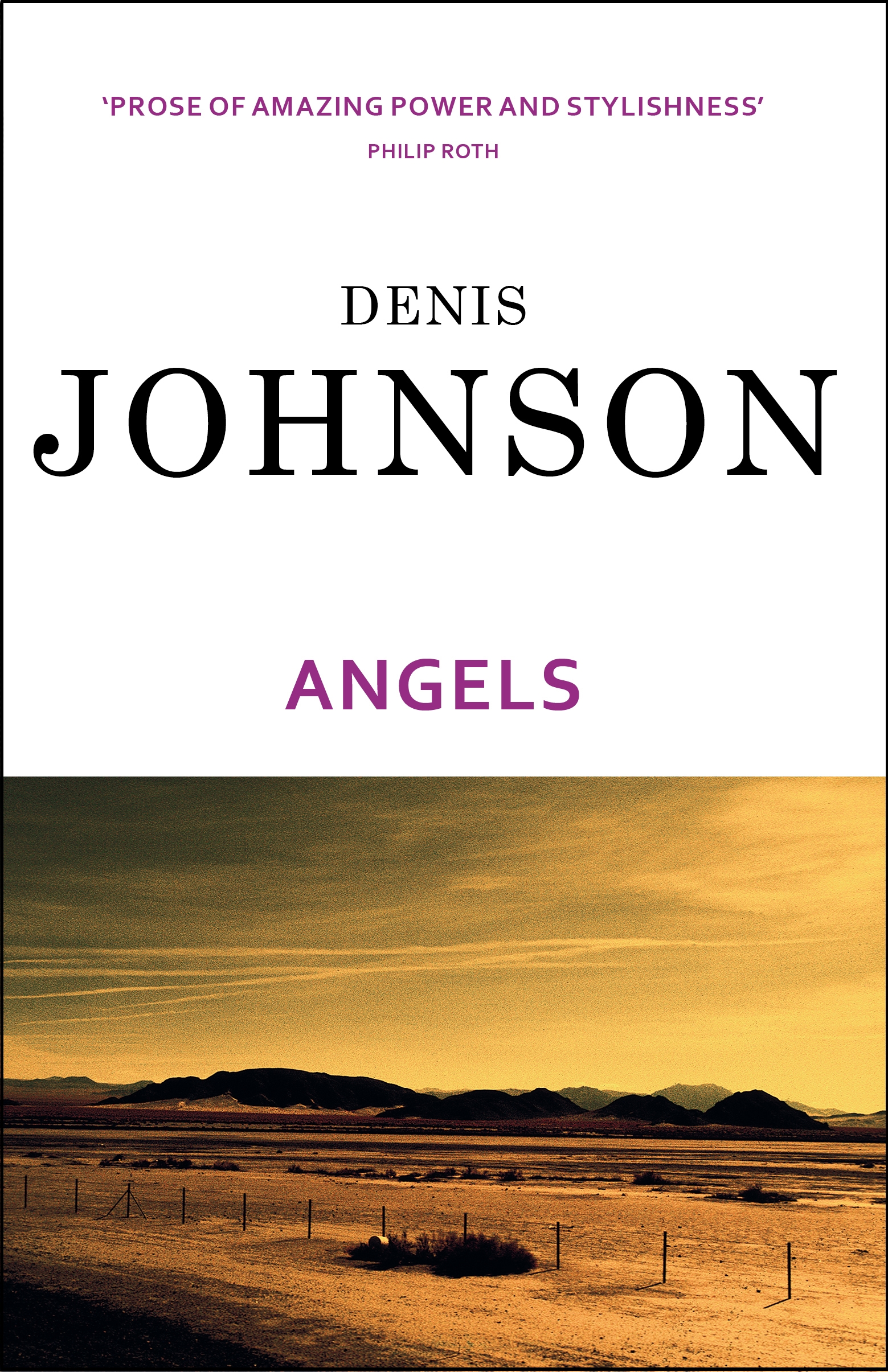 Angels-by-Denis-Johnson-PDF-EPUB.jpg