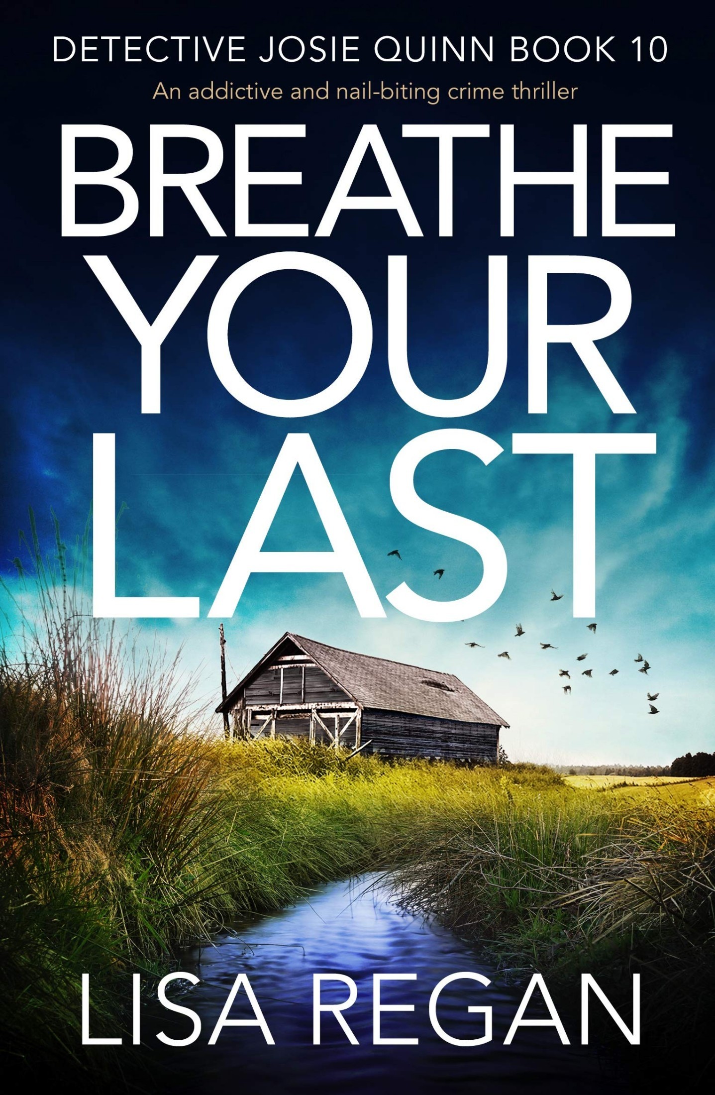 Breathe-Your-Last-by-Lisa-Regan-PDF-EPUB.jpg