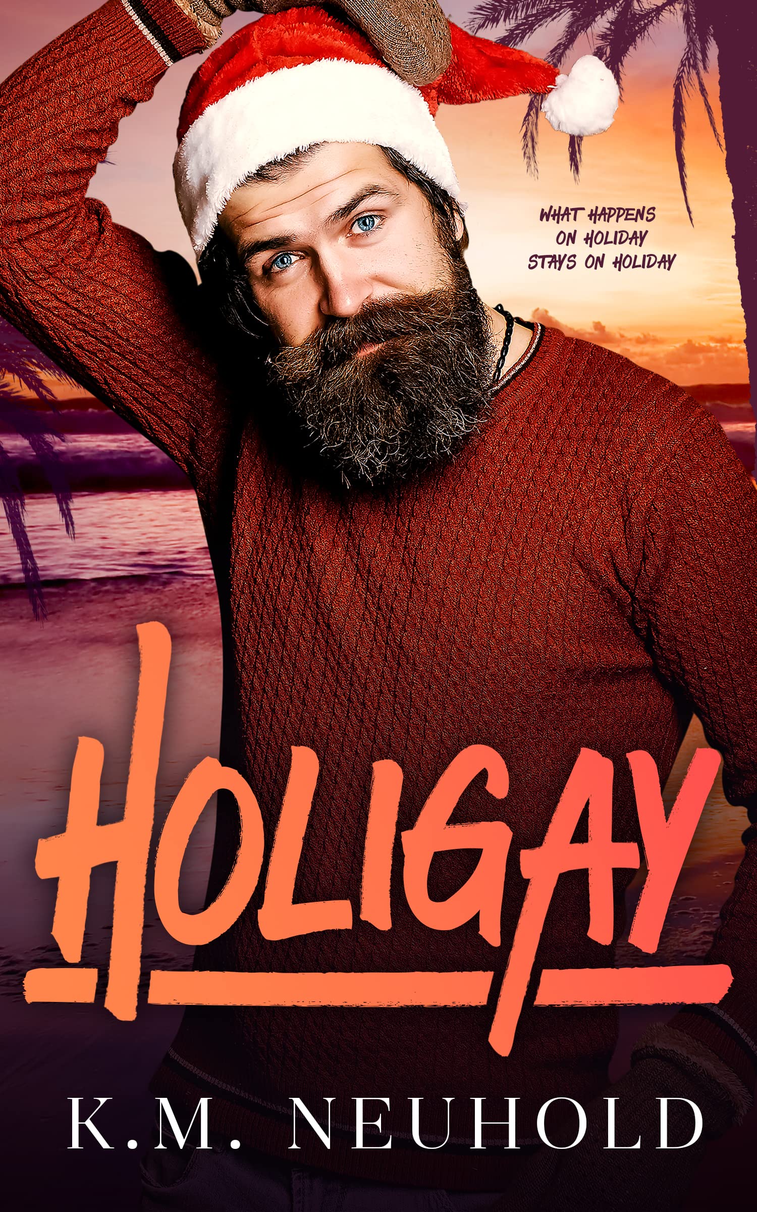 Holigay-by-KM-Neuhold-PDF-EPUB.jpg