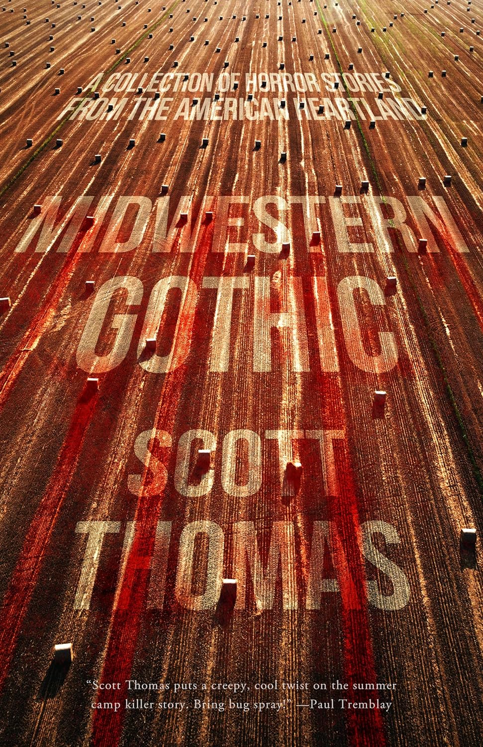Midwestern-Gothic-by-Scott-Thomas-PDF-EPUB.jpg