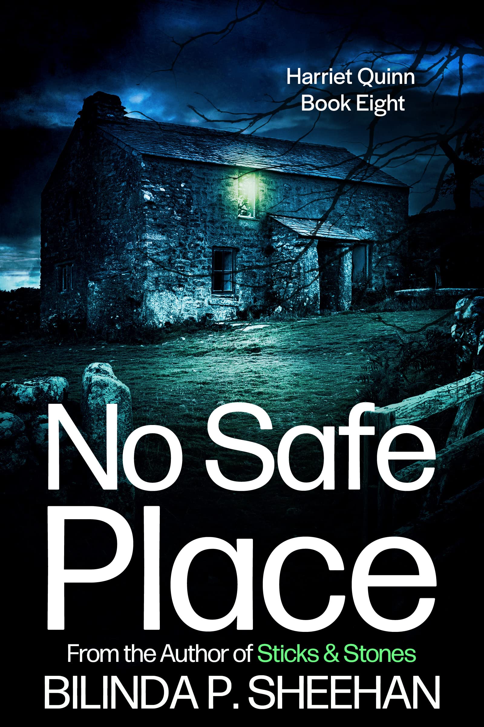 No-Safe-Place-by-Bilinda-P-Sheehan-PDF-EPUB.jpg