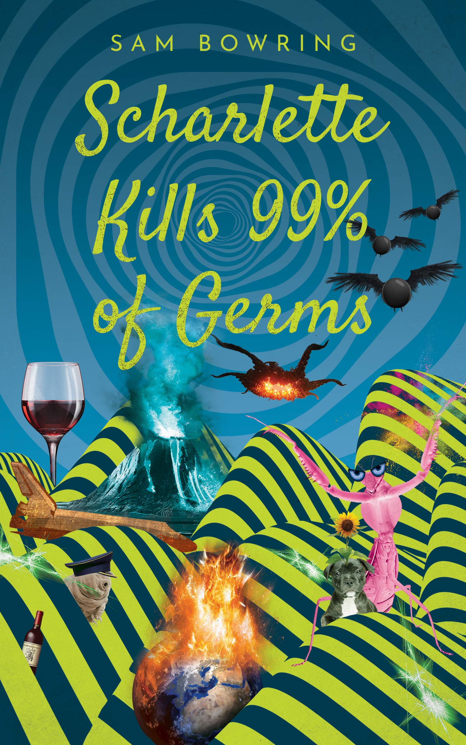 Scharlette-Kills-99%-of-Germs-by-Sam-Bowring-PDF-EPUB.jpg