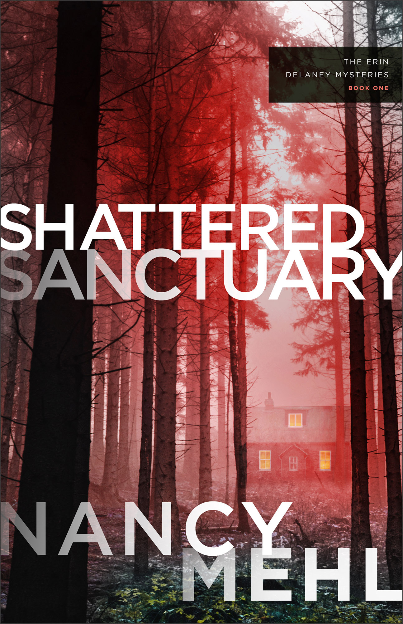 Shattered-Sanctuary-by-Nancy-Mehl-PDF-EPUB.jpg