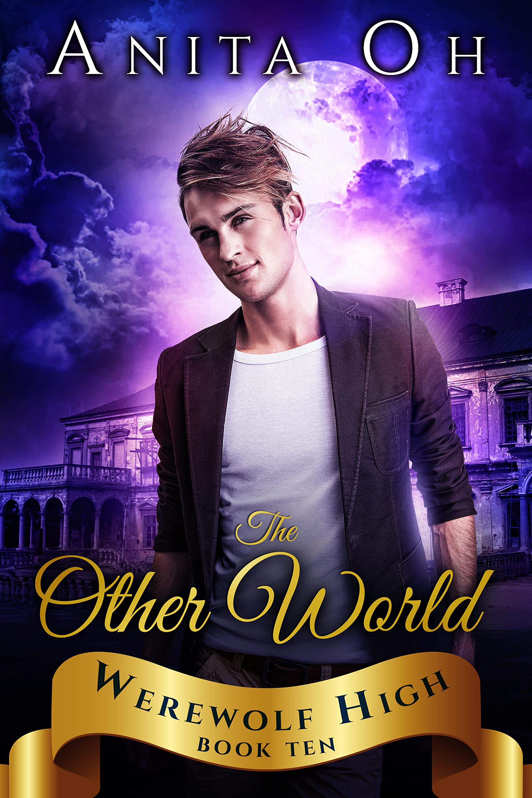 The-Other-World-by-Anita-Oh-PDF-EPUB.jpg