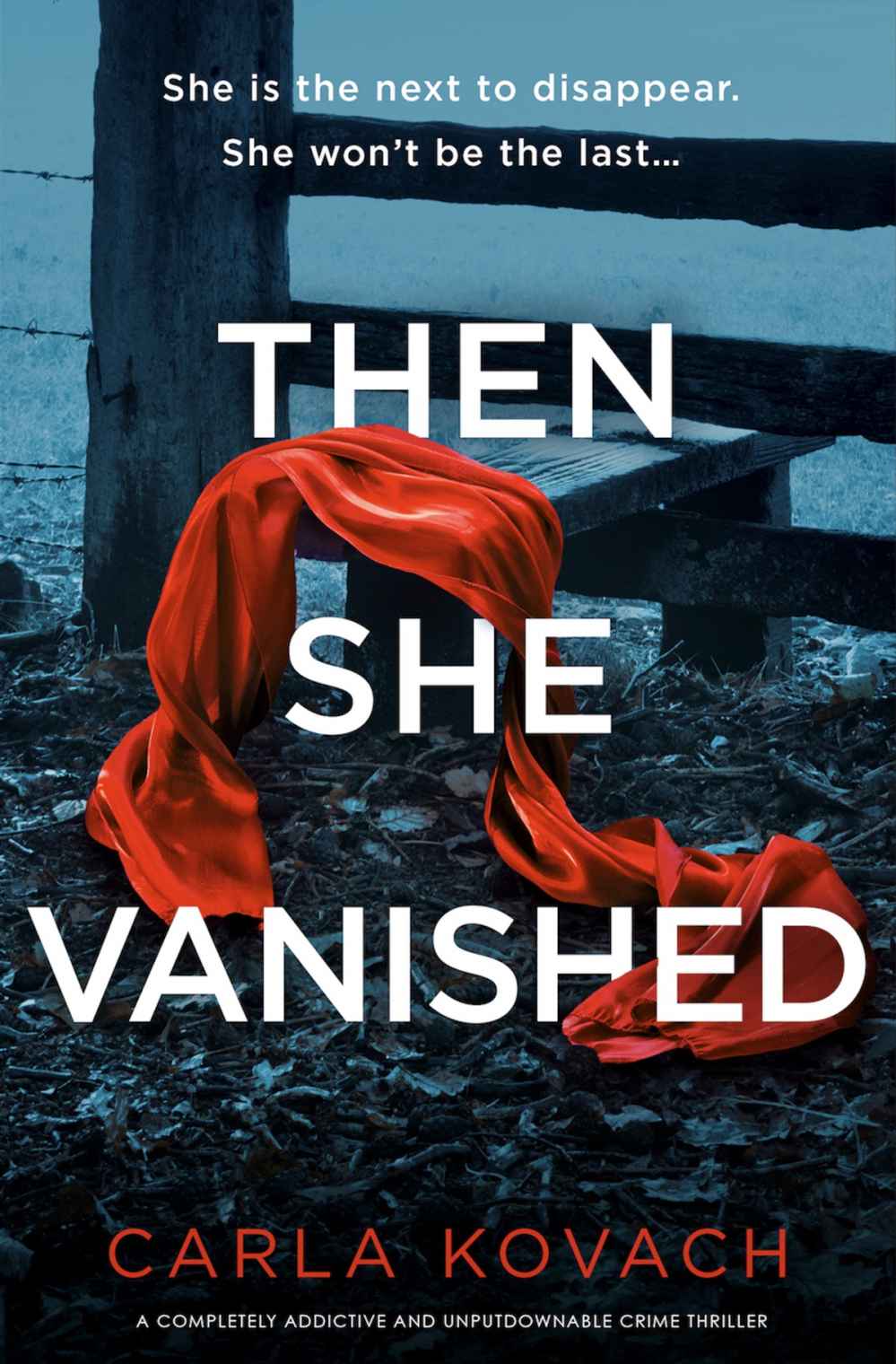 Then-She-Vanished-by-Carla-Kovach-PDF-EPUB.jpg