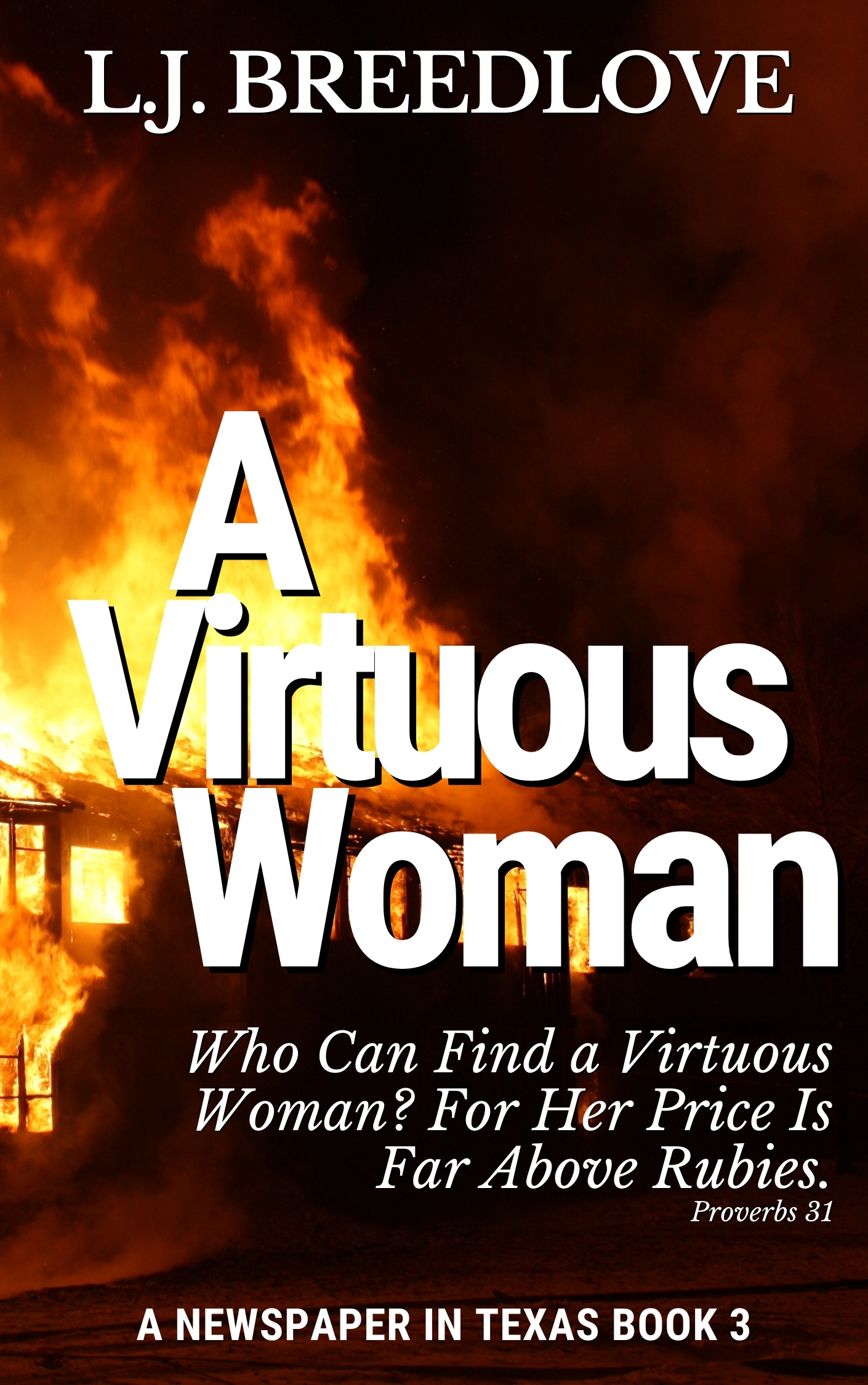 A-Virtuous-Woman-by-LJ-Breedlove-PDF-EPUB.jpg
