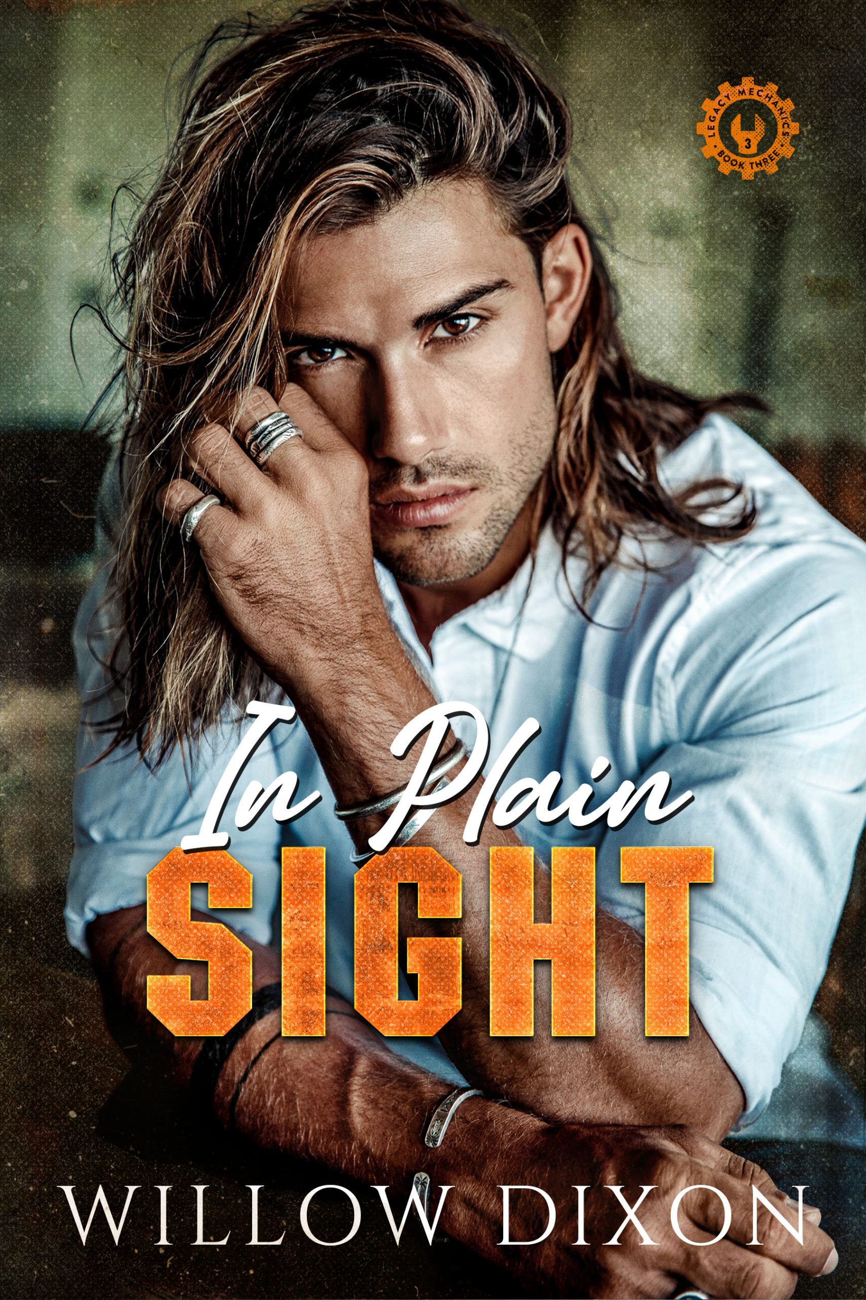 In-Plain-Sight-by-Willow-Dixon-PDF-EPUB.jpg