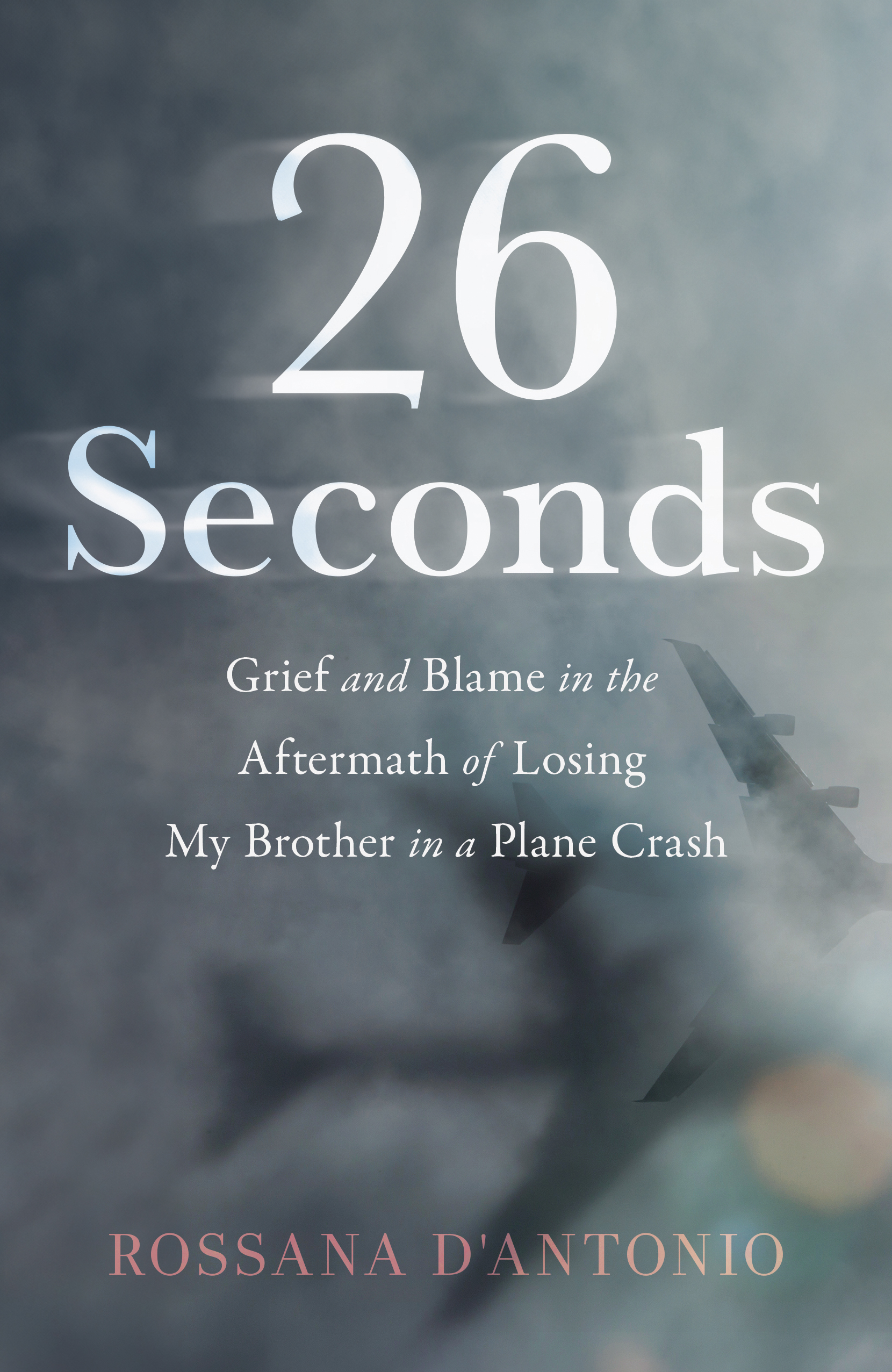 26-Seconds--Grief-and-Blame-in-the-Aftermath-of-Losing-My-Brother-in-a-Plane-Crash-by-Rossana-D'Antonio-PDF-EPUB.jpg