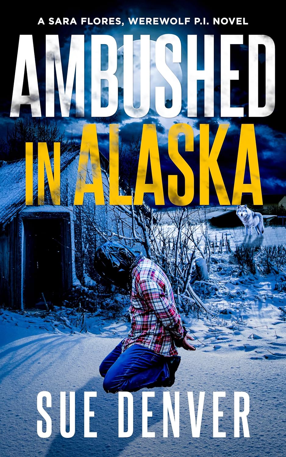 Ambushed-in-Alaska-by-Sue-Denver-PDF-EPUB.jpg