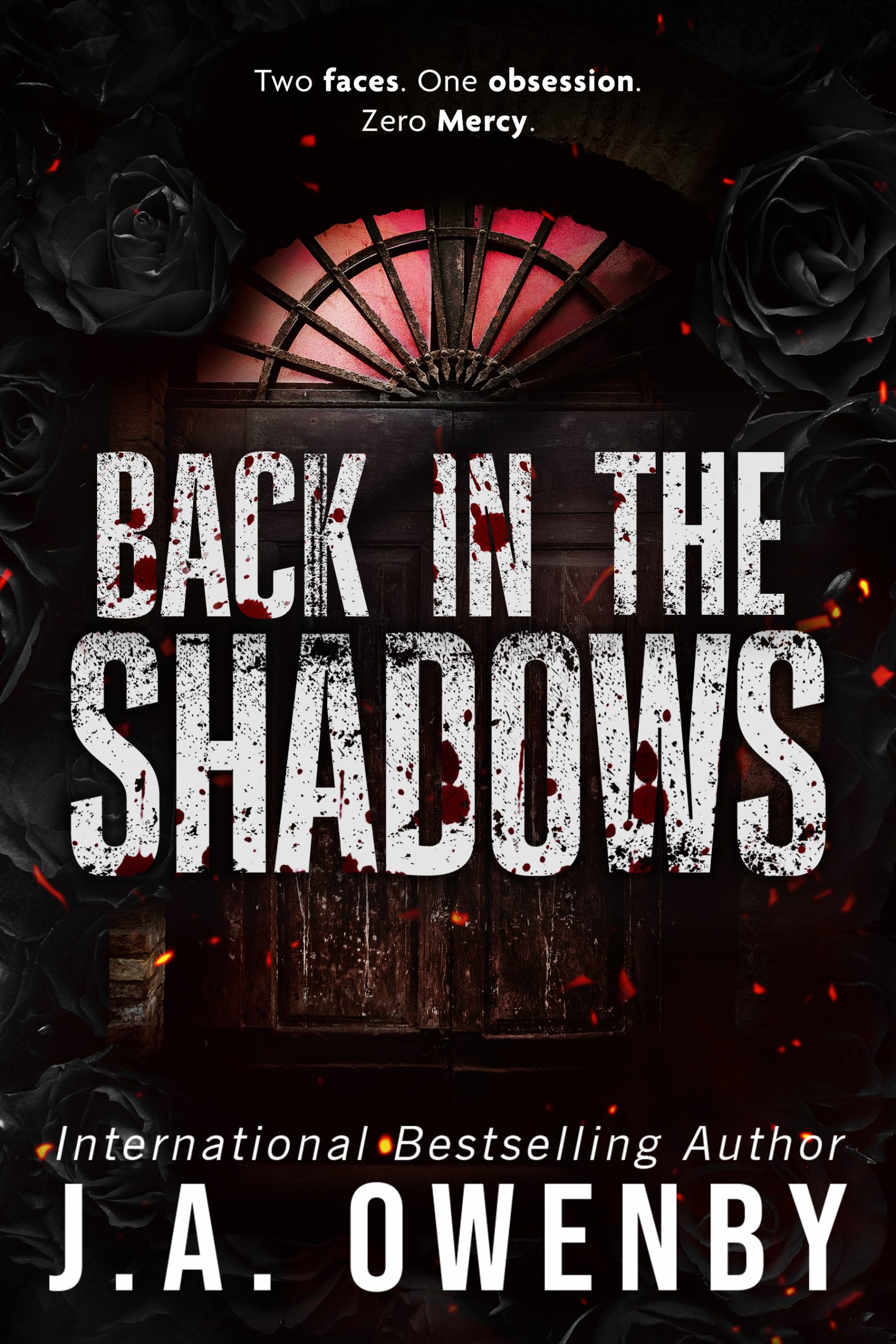 Back-in-the-Shadows-by-JA-Owenby-PDF-EPUB.jpg