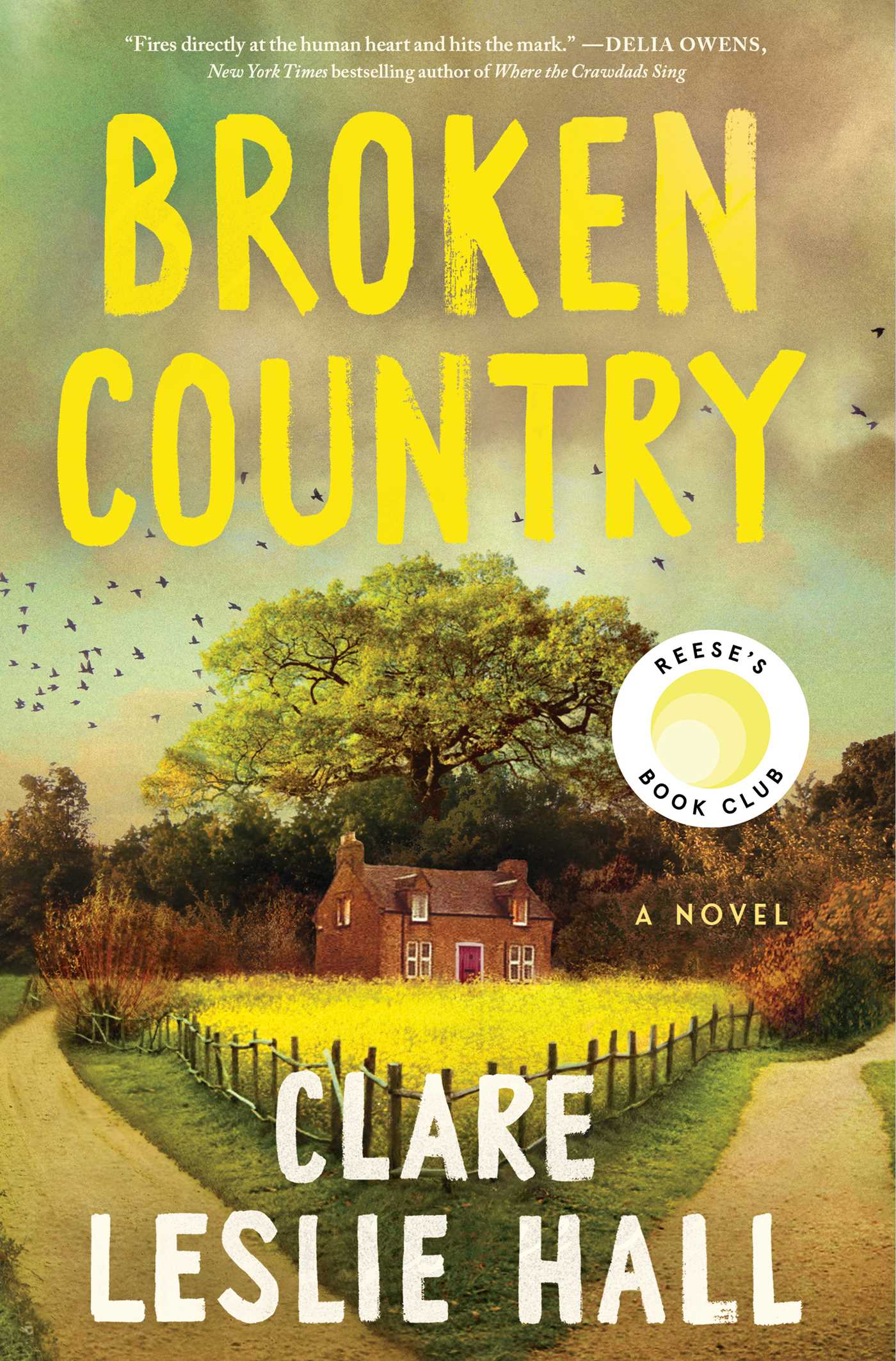 Broken-Country-by-Clare-Leslie-Hall-PDF-EPUB.jpg