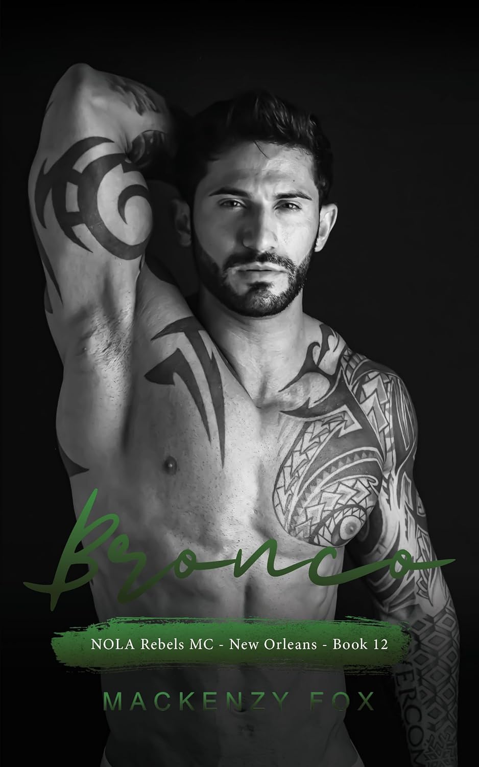 Bronco-by-Mackenzy-Fox-PDF-EPUB.jpg
