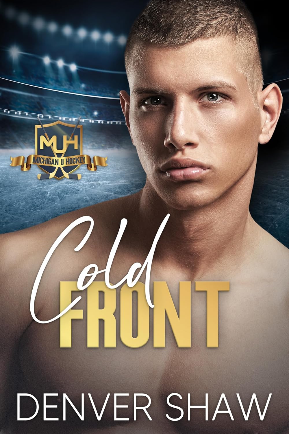 Cold-Front-by-Denver-Shaw-PDF-EPUB.jpg