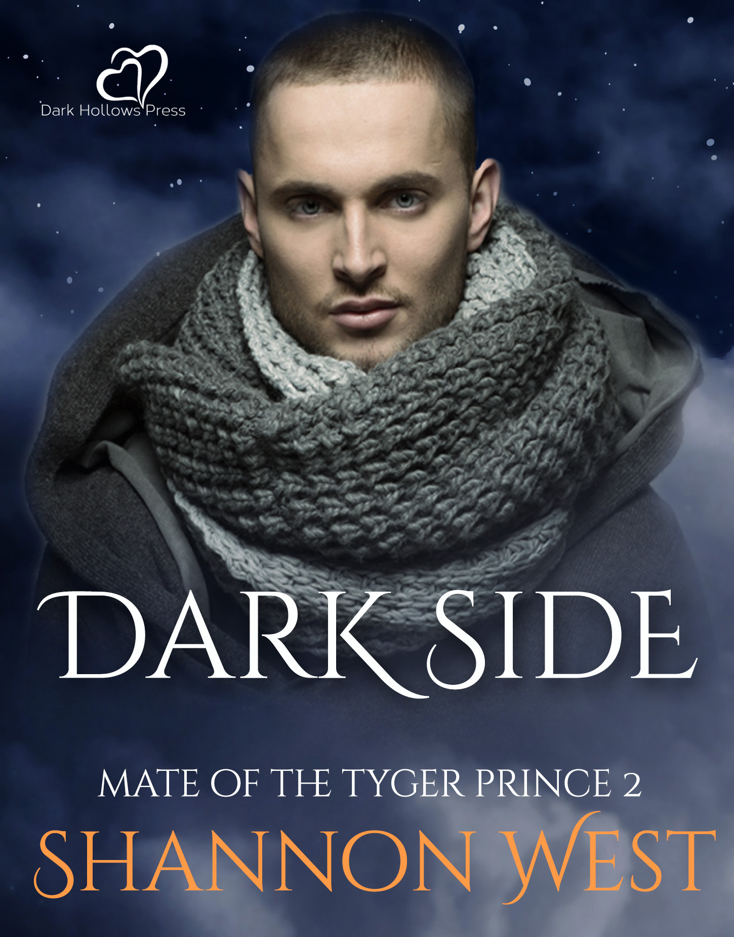 Dark-Side-by-Shannon-West-PDF-EPUB.jpg