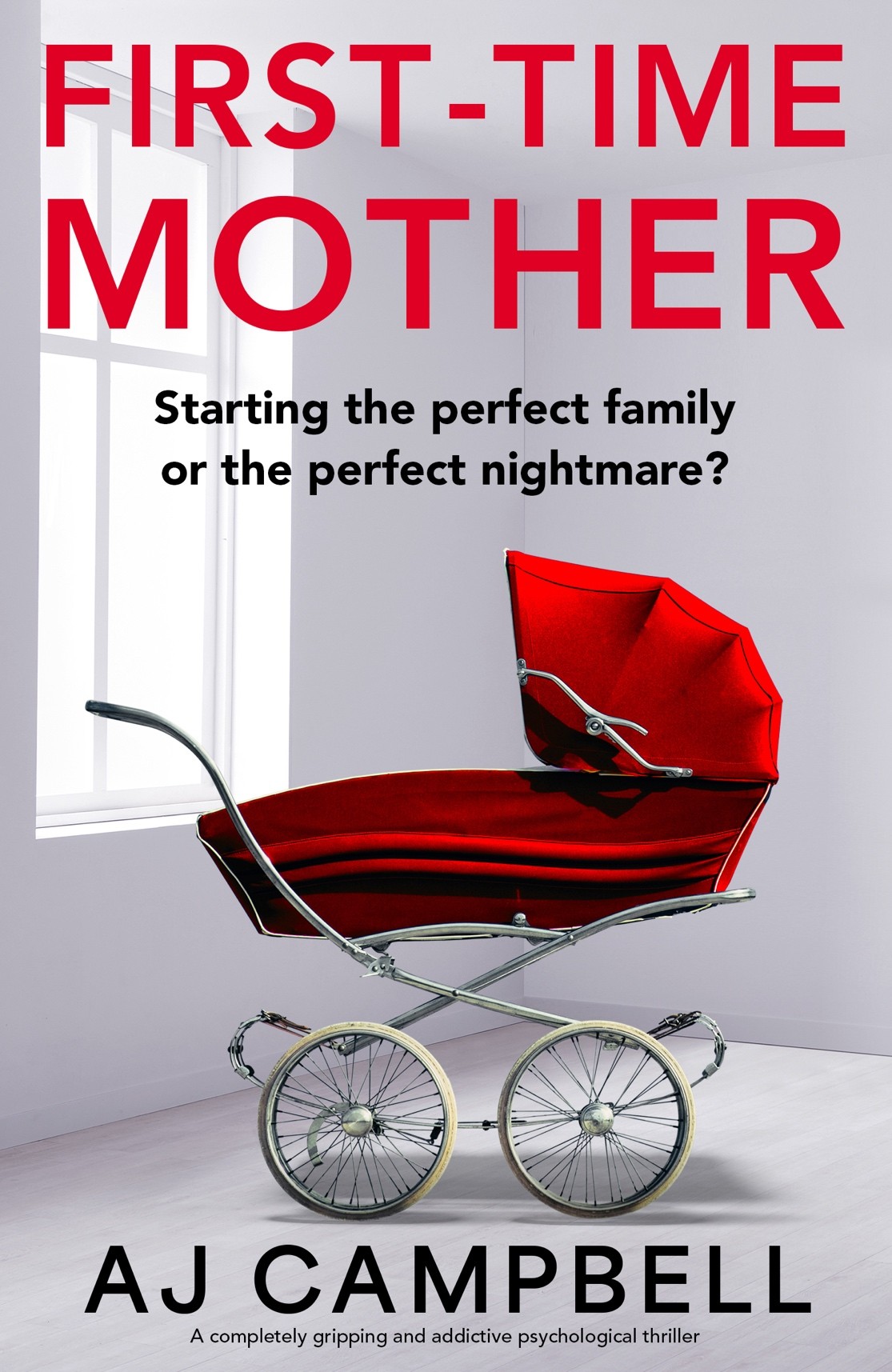 First-Time-Mother-by-AJ-Campbell-PDF-EPUB.jpg