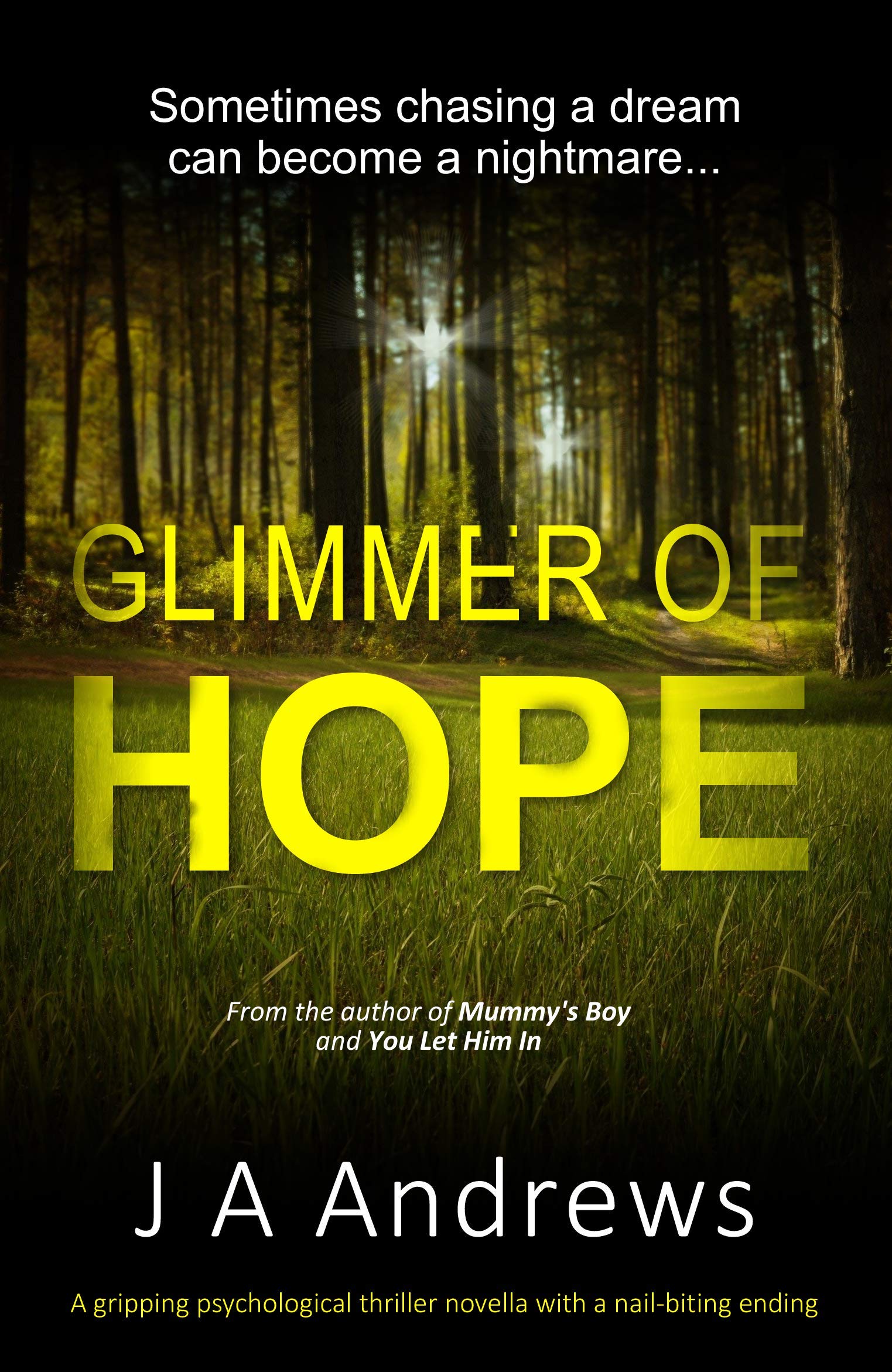 Glimmer-of-Hope-by-JA-Andrews-PDF-EPUB.jpg