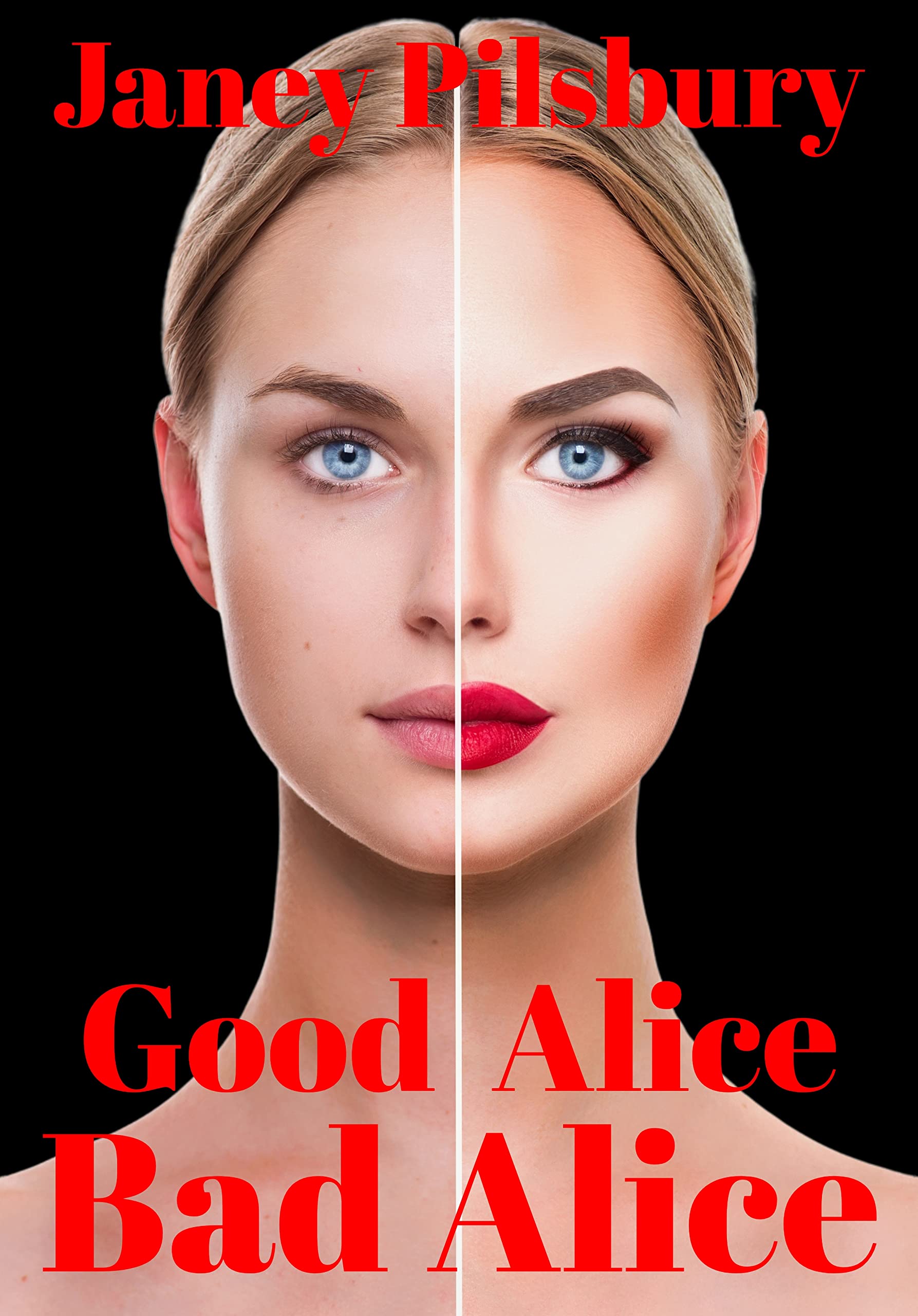 Good-Alice-Bad-Alice--Humiliation-on-the-late-Night-Train-by-Janey-Pilsbury-PDF-EPUB.jpg