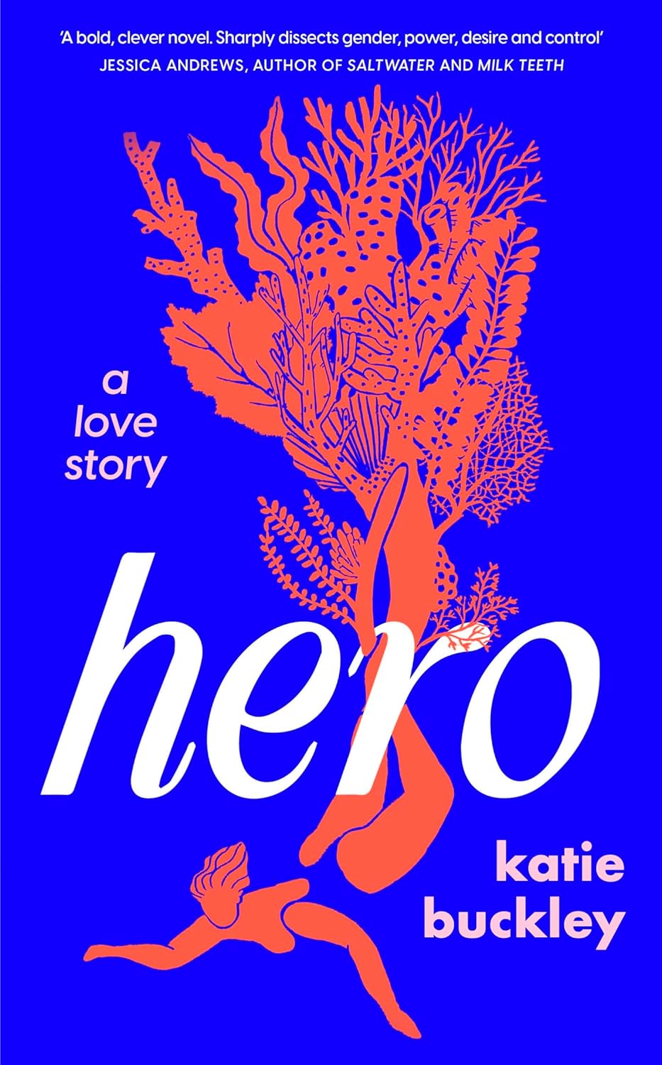 Hero--A-Love-Story-by-Katie-Buckley-PDF-EPUB.jpg