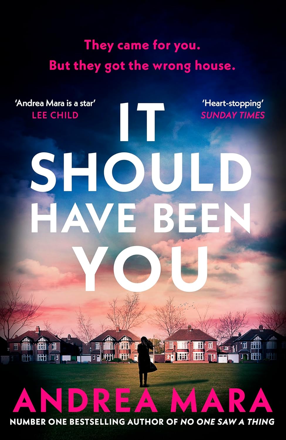 It-Should-Have-Been-You-by-Andrea-Mara-PDF-EPUB.jpg