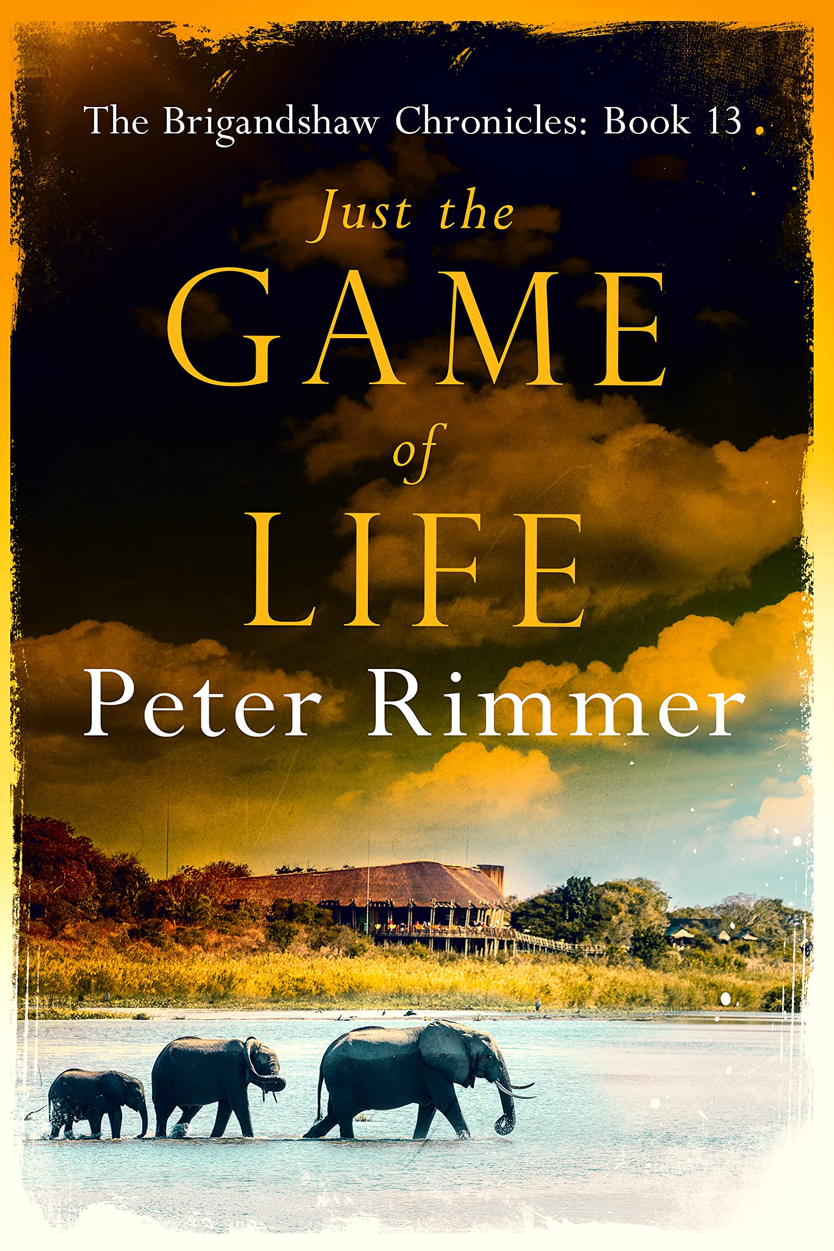 Just-the-Game-of-Life-by-Peter-Rimmer-PDF-EPUB.jpg