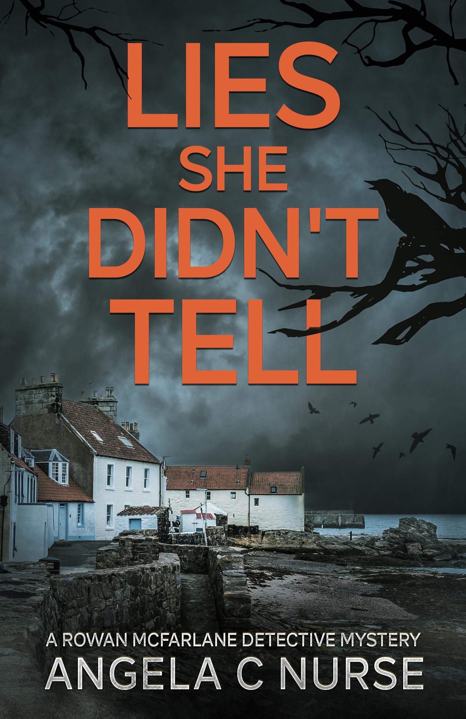 Lies-She-Didn't-Tell-by-Angela-C-Nurse-PDF-EPUB.jpg