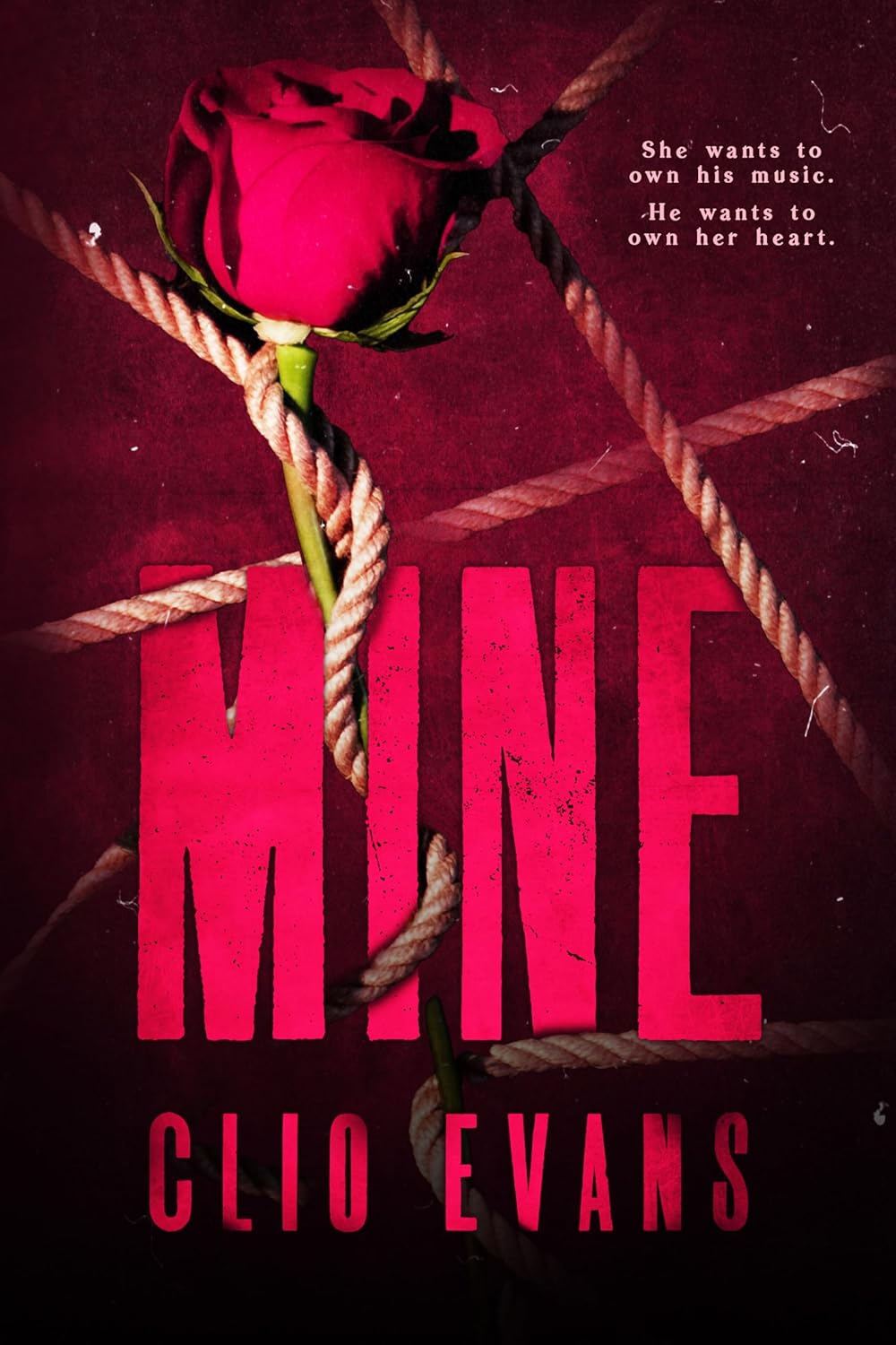 Mine-by-Clio-Evans-PDF-EPUB.jpg