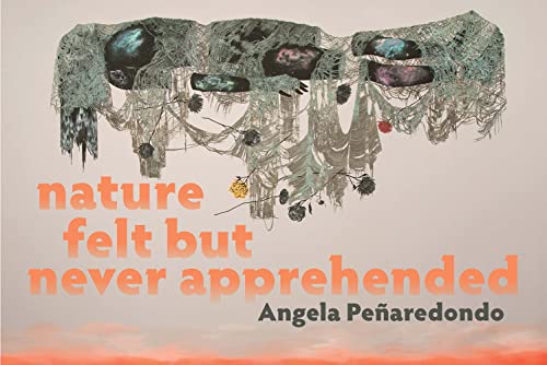 Nature-Felt-But-Never-Apprehended-by-Angela-Penaredondo-PDF-EPUB.jpg