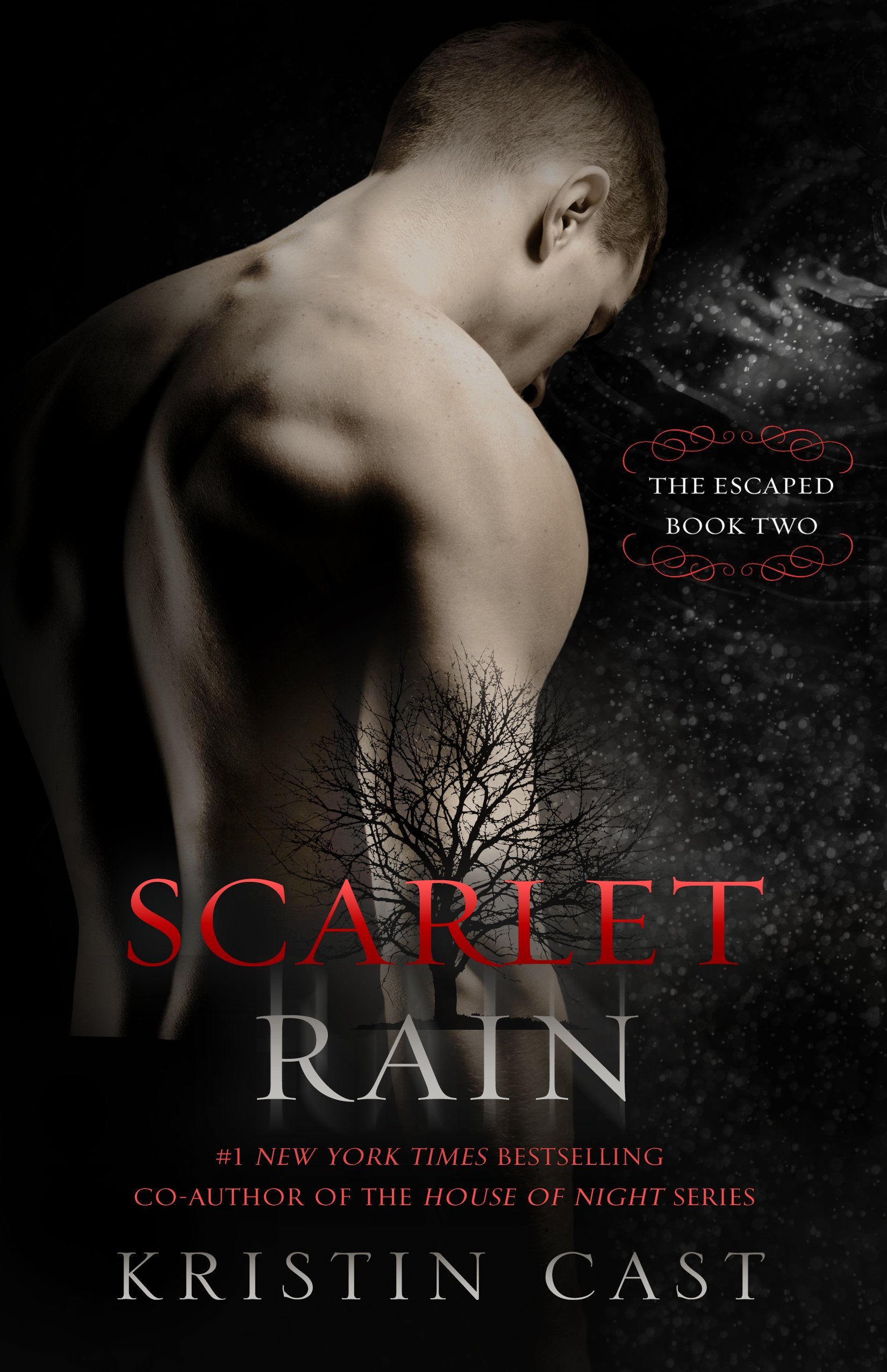 Scarlet-Rain-by-Kristin-Cast-PDF-EPUB.jpg