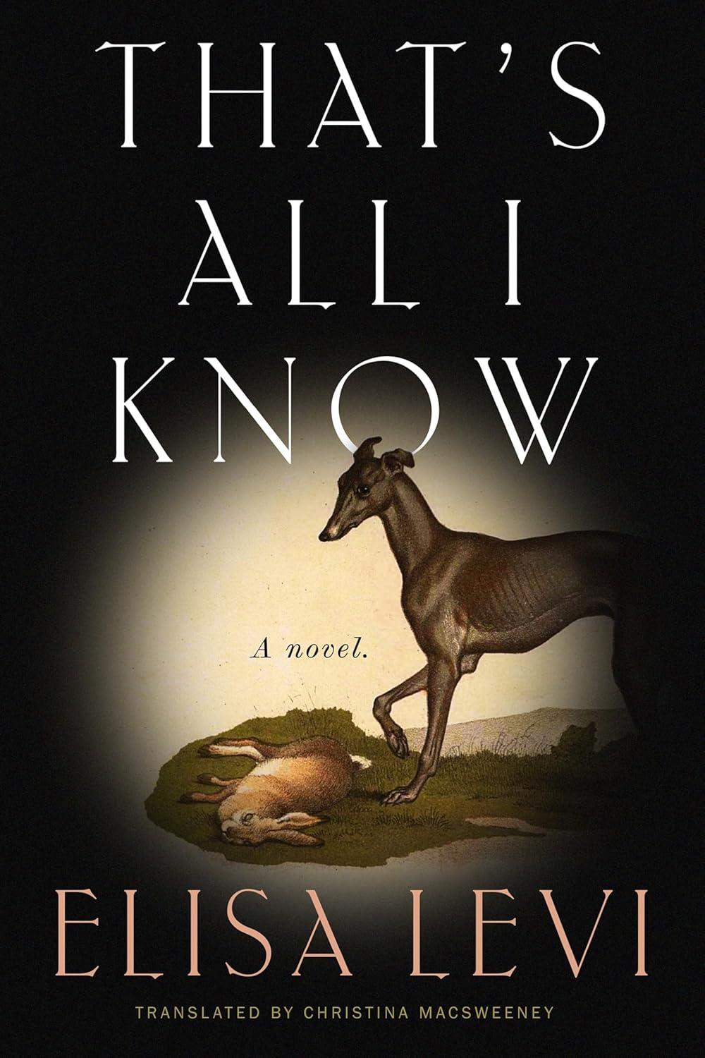 That's-All-I-Know-by-Elisa-Levi-PDF-EPUB.jpg