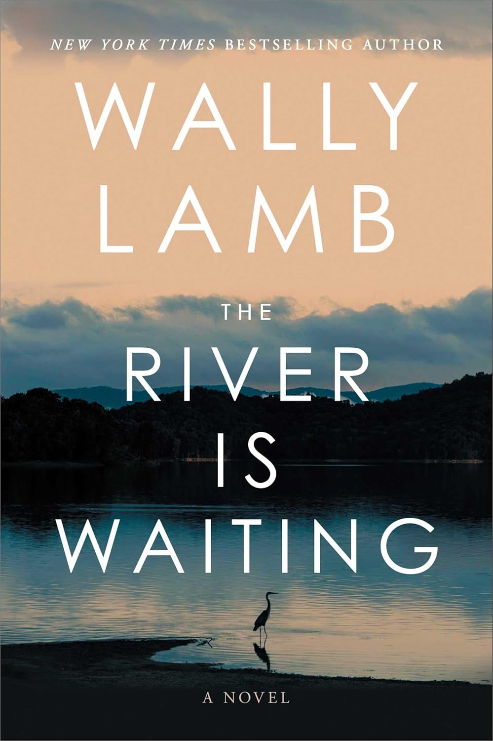 The-River-Is-Waiting-by-Wally-Lamb-PDF-EPUB.jpg