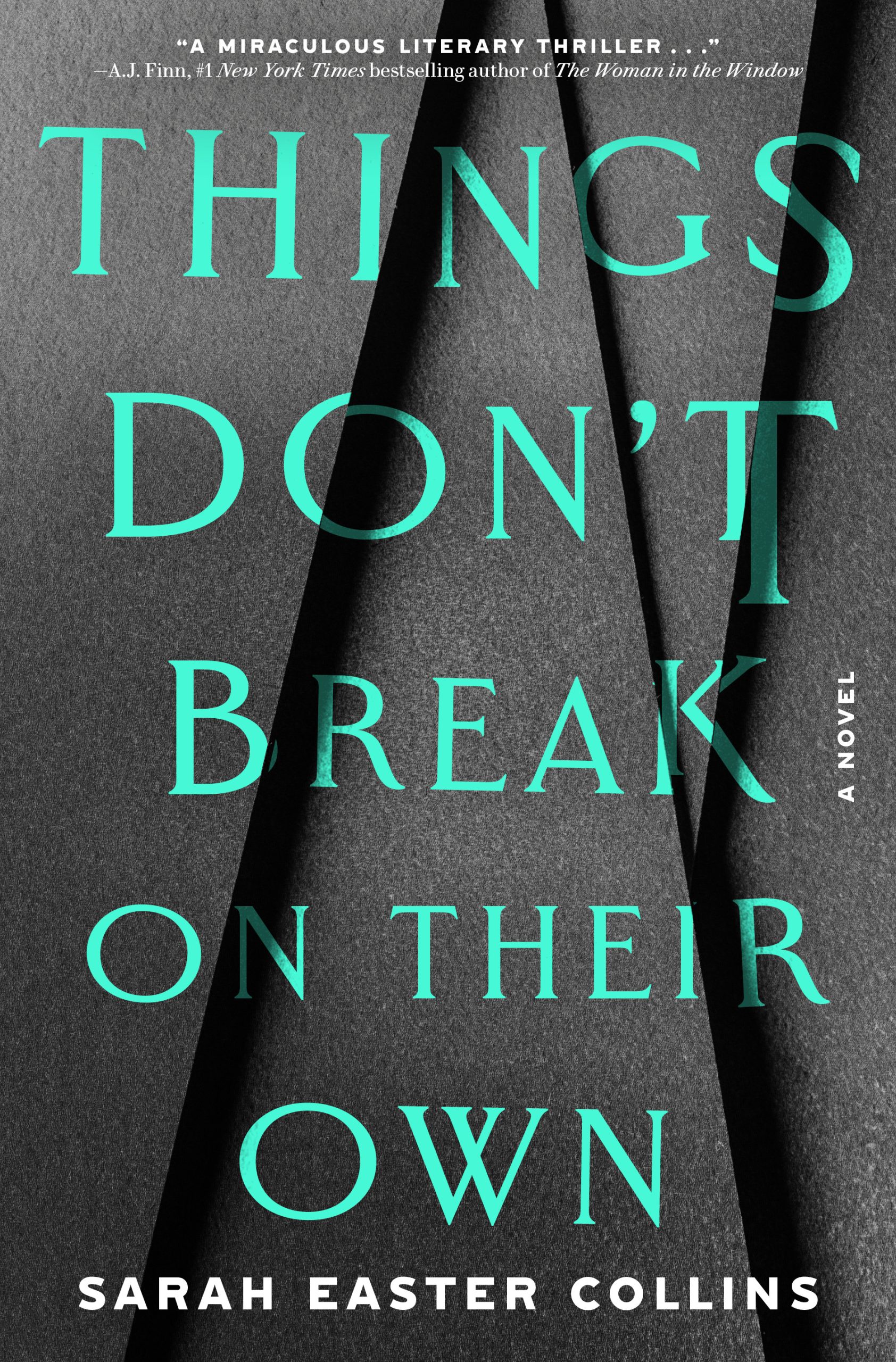 Things-Don't-Break-on-Their-Own-by-Sarah-Easter-Collins-PDF-EPUB.jpg