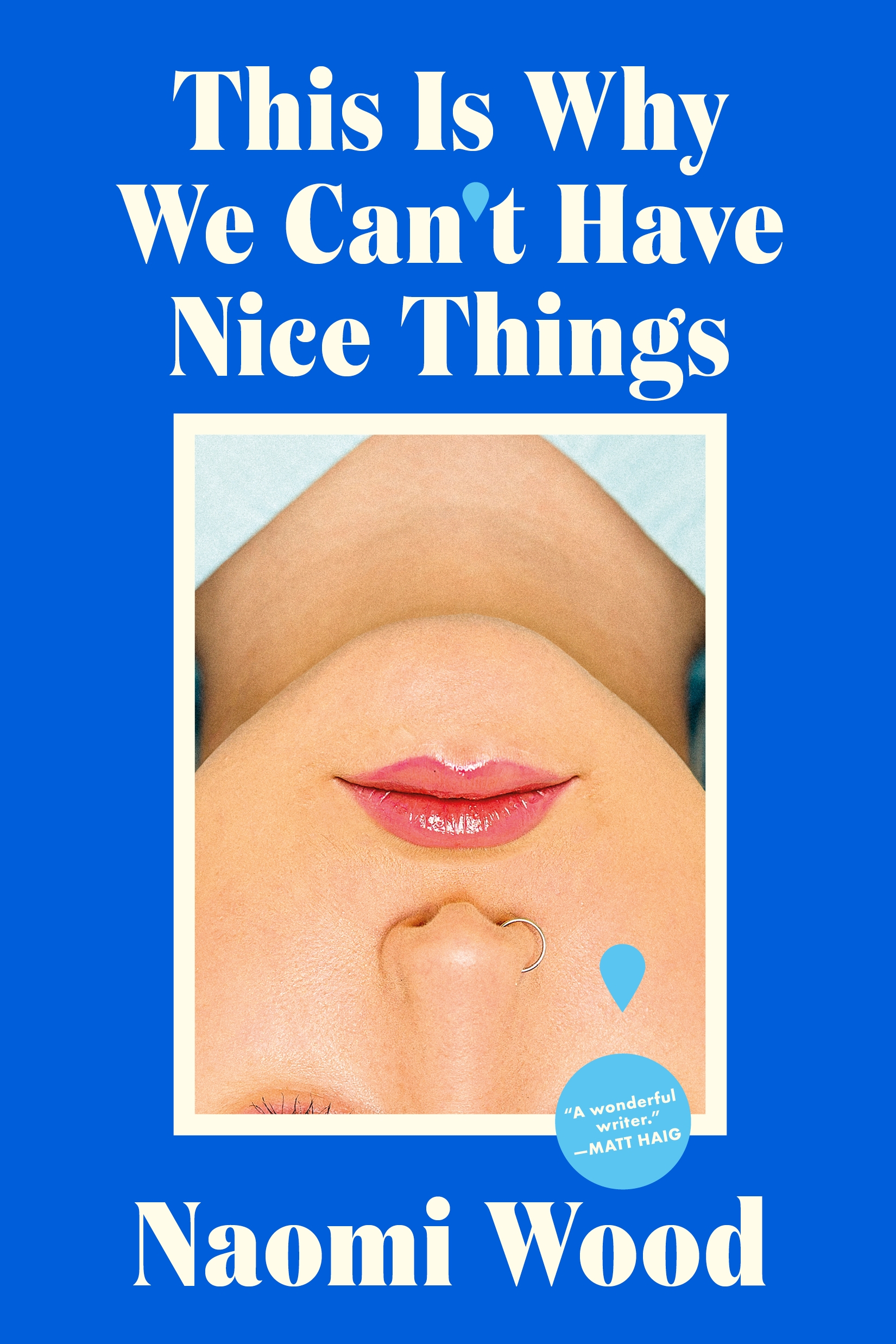 This-Is-Why-We-Can-t-Have-Nice-Things-by-Naomi-Wood-PDF-EPUB.jpg