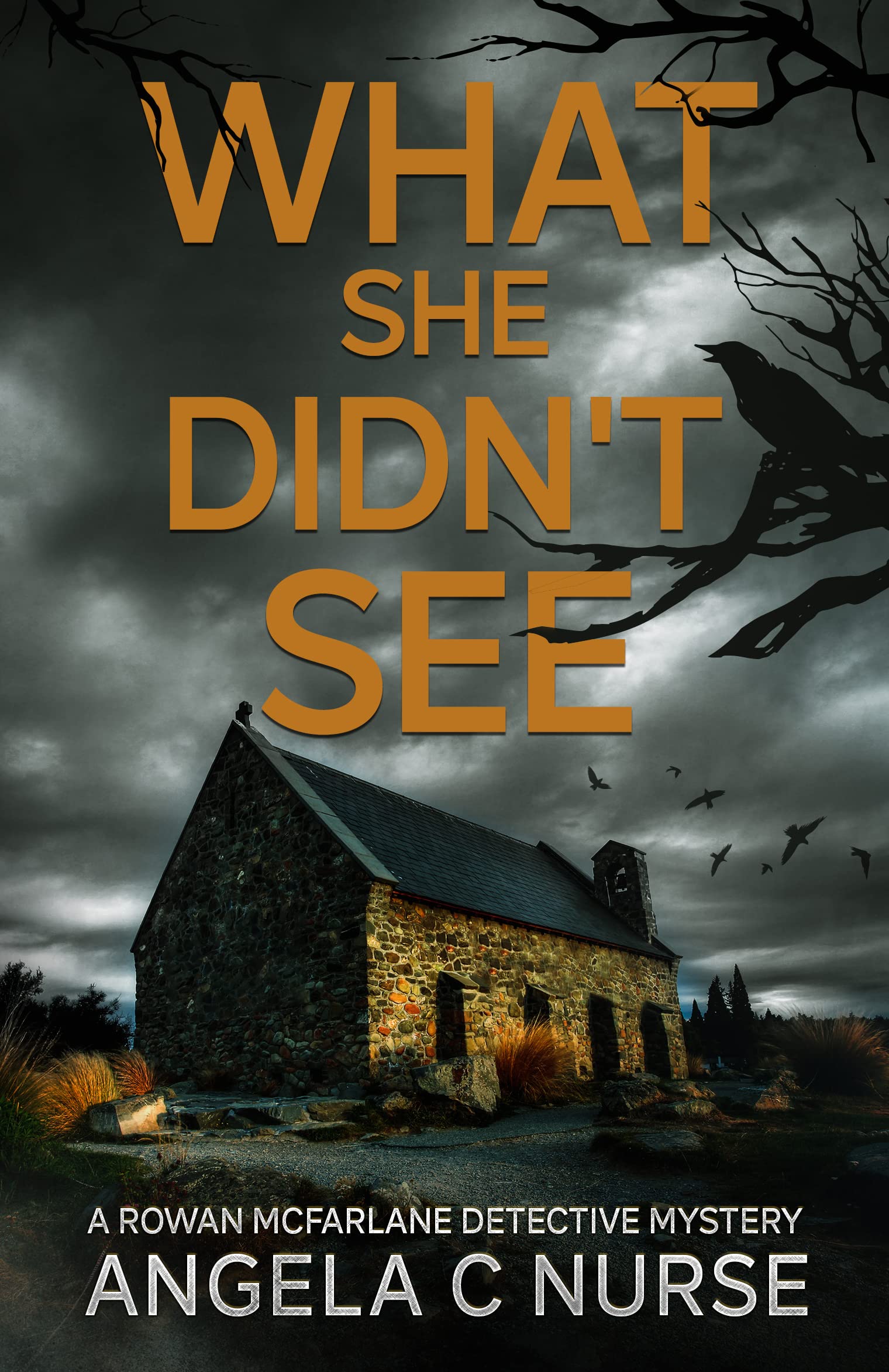 What-She-Didn't-See-by-Angela-C-Nurse-PDF-EPUB.jpg