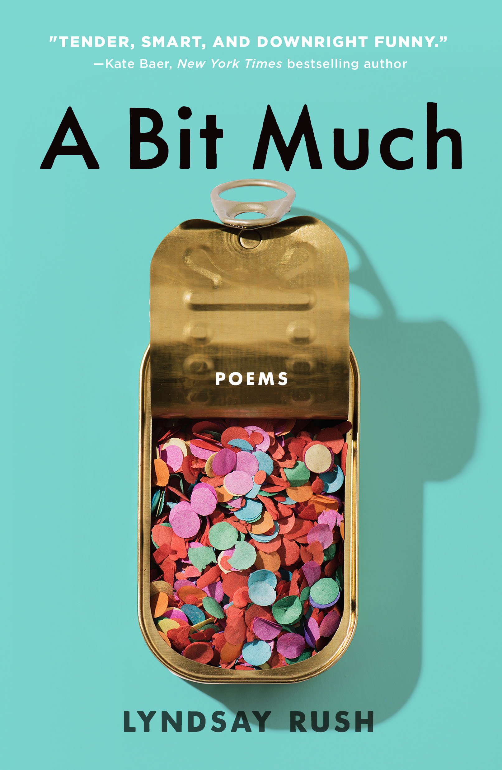 A-Bit-Much-by-Lyndsay-Rush-PDF-EPUB.jpg