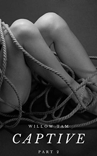 Captive--Part-2-by-Willow-Tam-PDF-EPUB.jpg