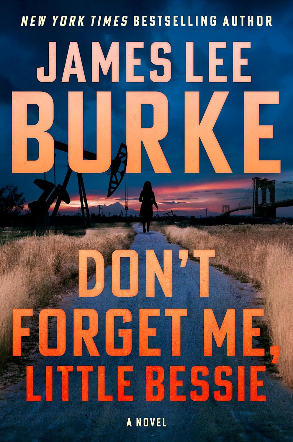 Don't-Forget-Me-Little-Bessie-by-James-Lee-Burke-PDF-EPUB.jpg