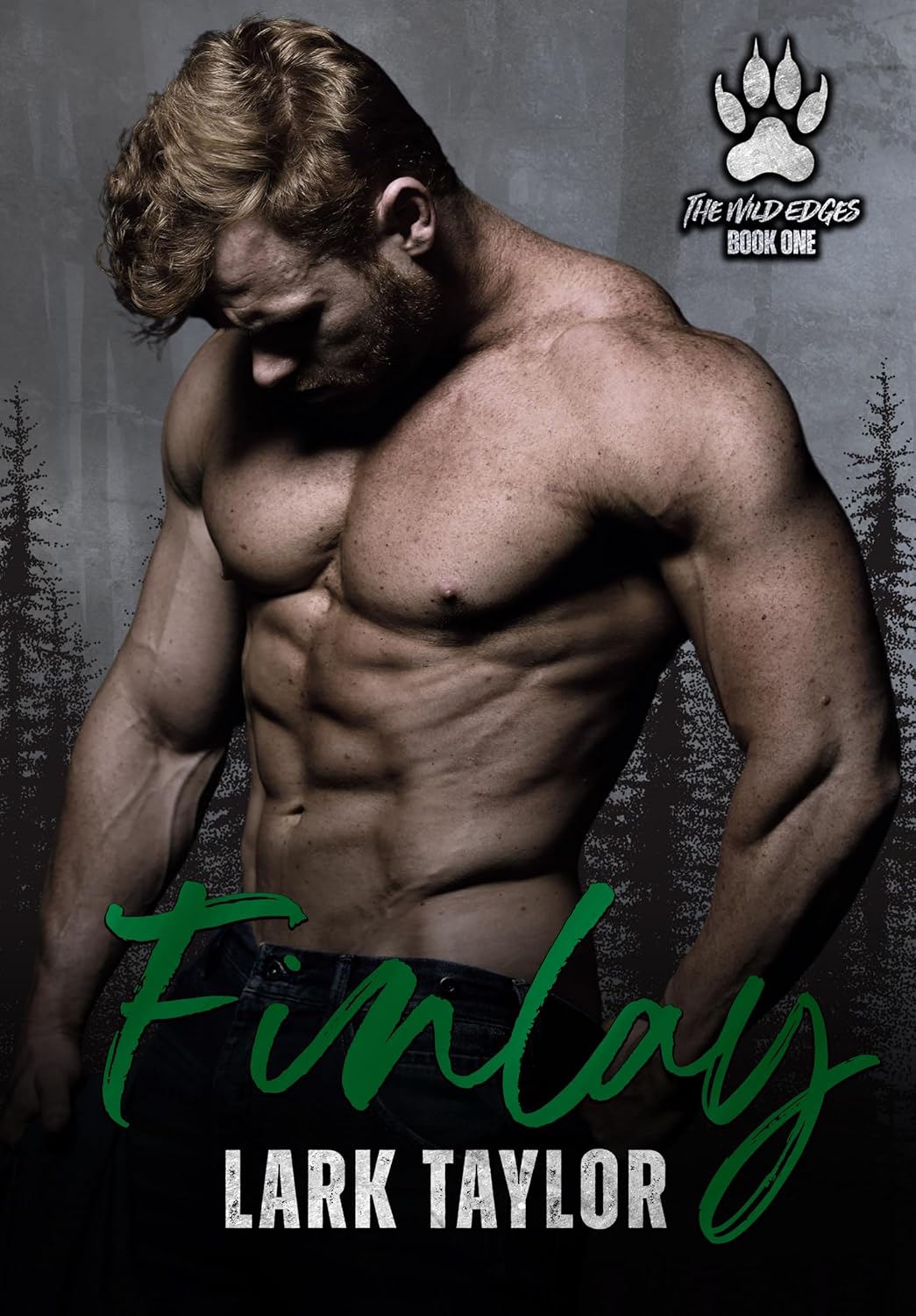 Finlay-by-Lark-Taylor-PDF-EPUB.jpg