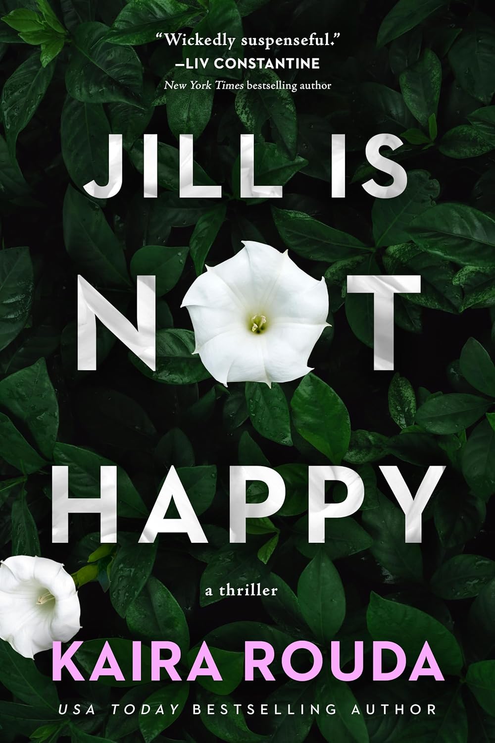 Jill-Is-Not-Happy-by-Kaira-Rouda-PDF-EPUB.jpg