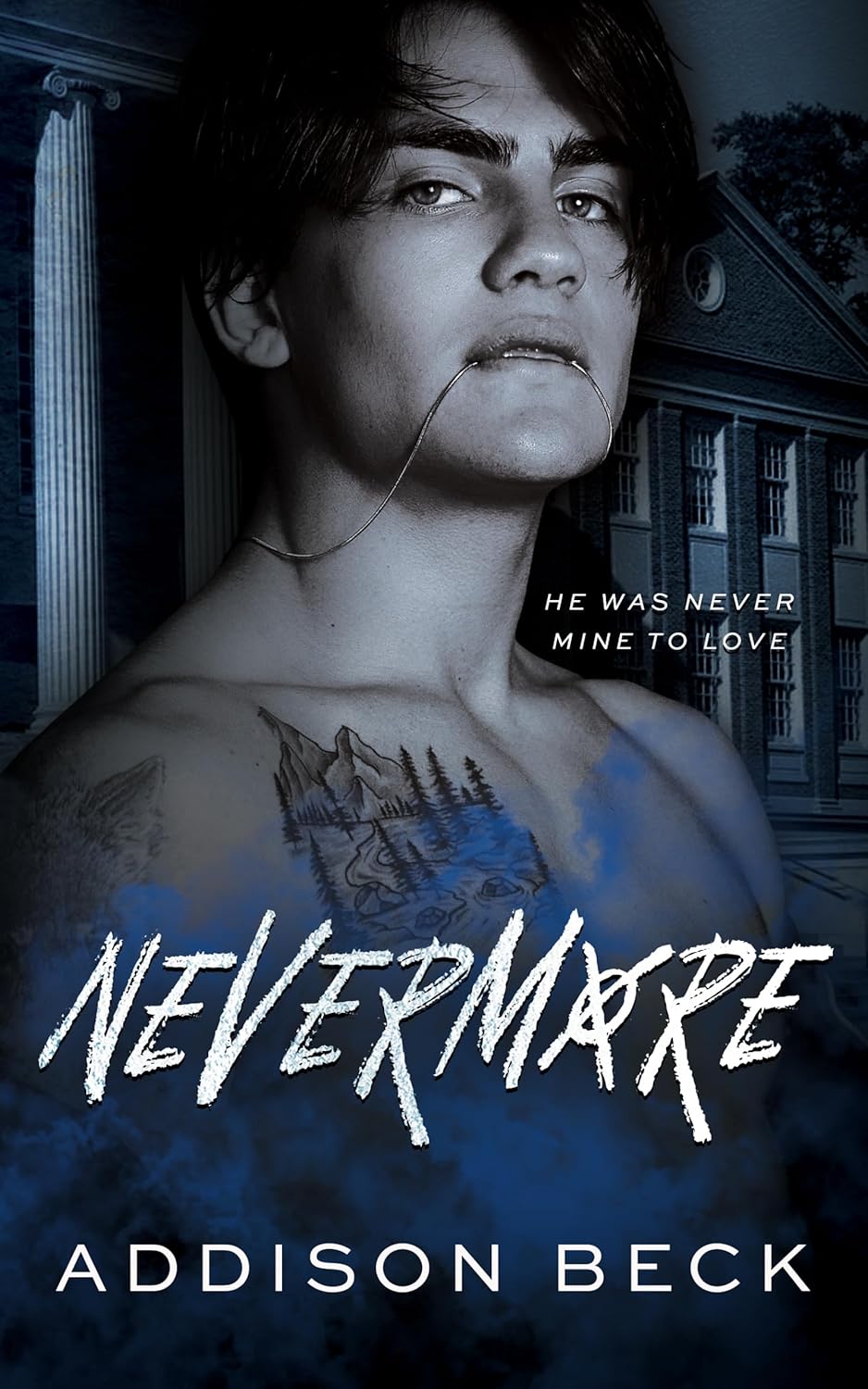 Nevermore-by-Addison-Beck-PDF-EPUB.jpg