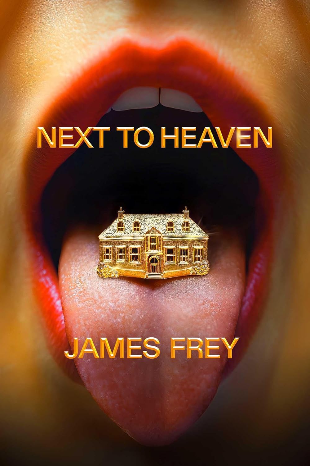 Next-to-Heaven-by-James-Frey-PDF-EPUB.jpg